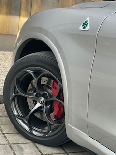 ALFA ROMEO Stelvio 2.9 V6 Quadrifoglio Q4 Automatic-image-13