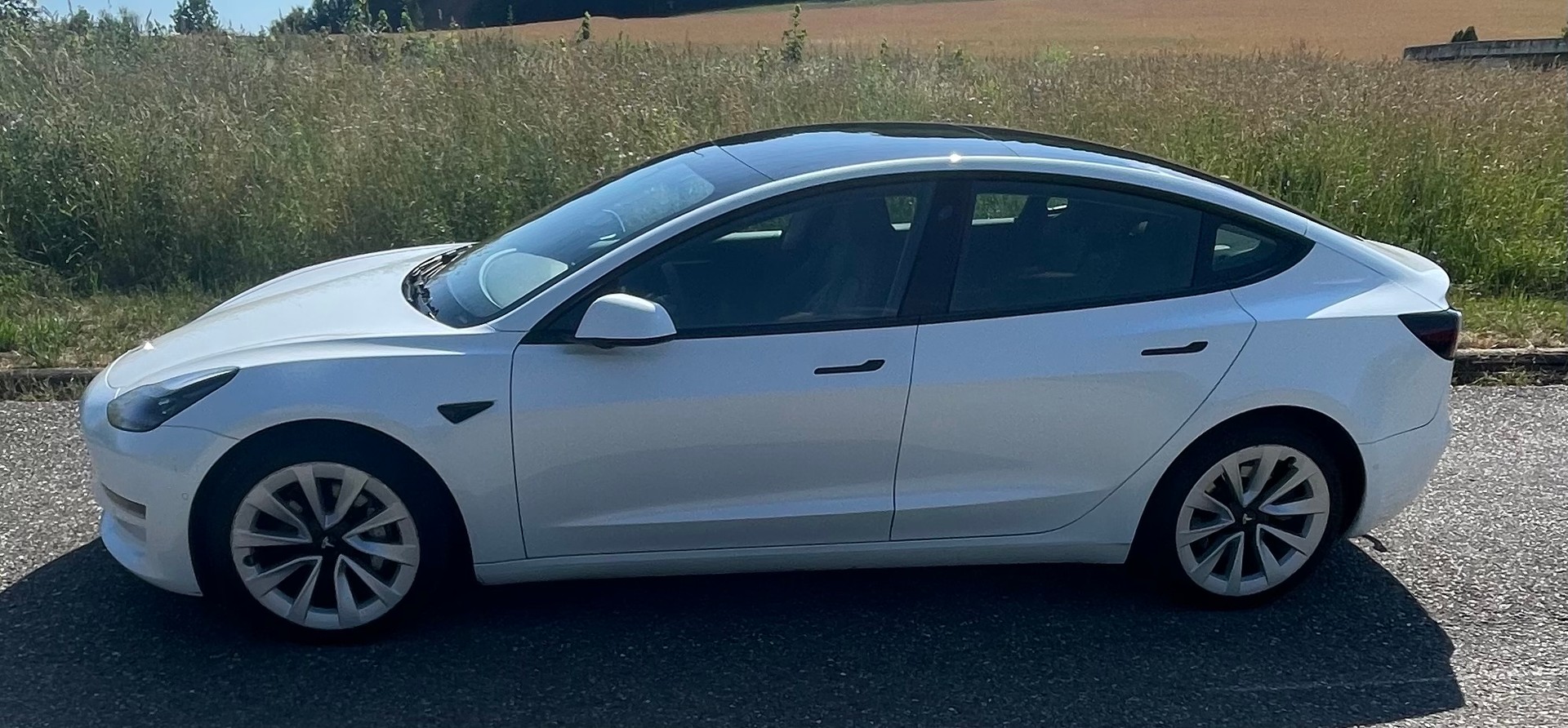 TESLA Long Range D-image-2