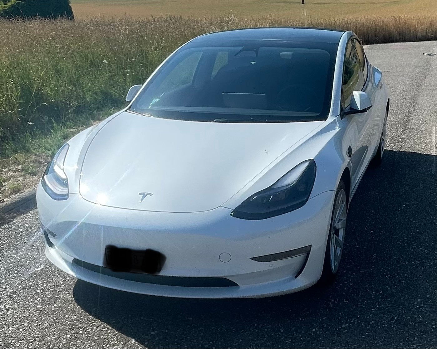 TESLA Long Range D-image-0