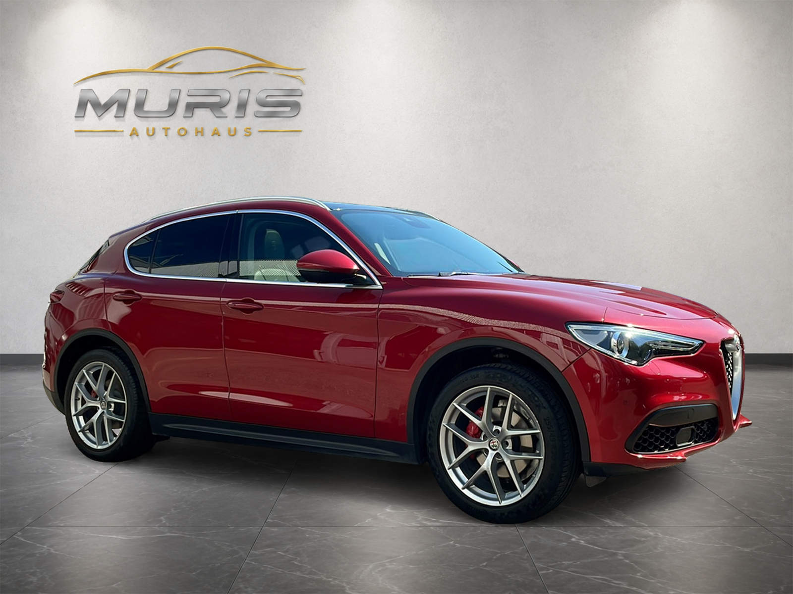 ALFA ROMEO Stelvio 2.0 First Edition Q4 Automatic-image-6