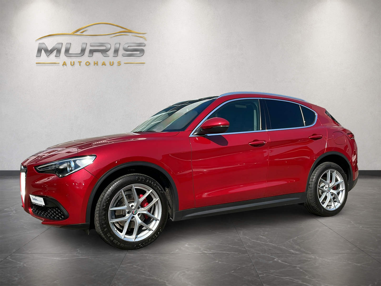 ALFA ROMEO Stelvio 2.0 First Edition Q4 Automatic-image-0