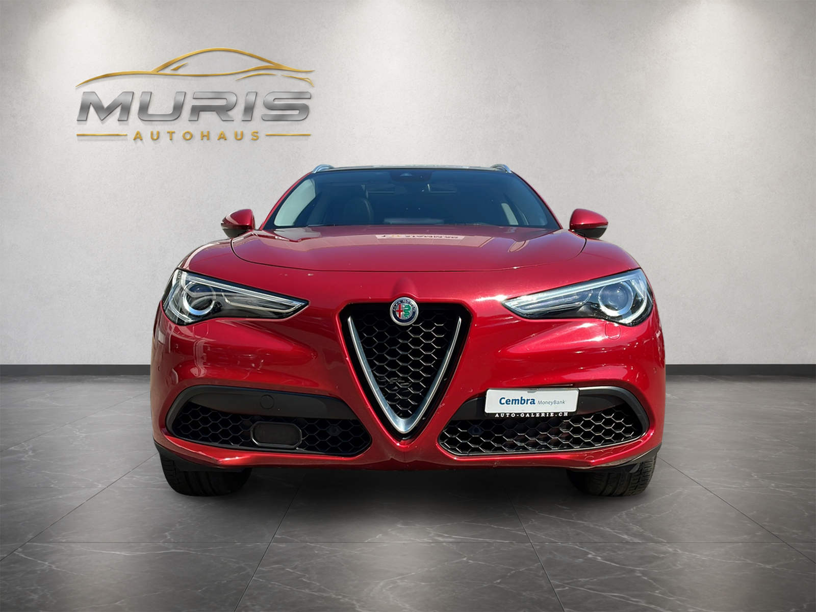 ALFA ROMEO Stelvio 2.0 First Edition Q4 Automatic-image-7