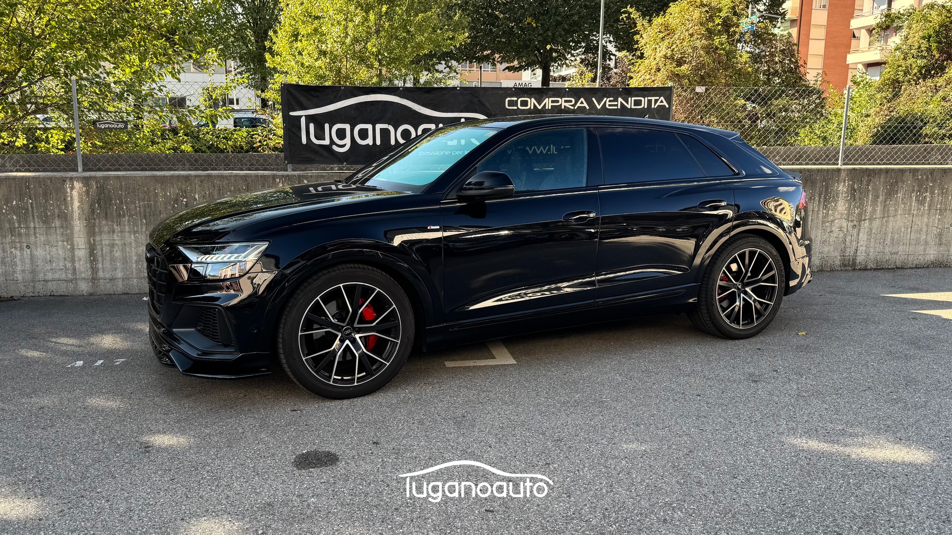 AUDI Q8 50 TDI quattro tiptronic-image-2