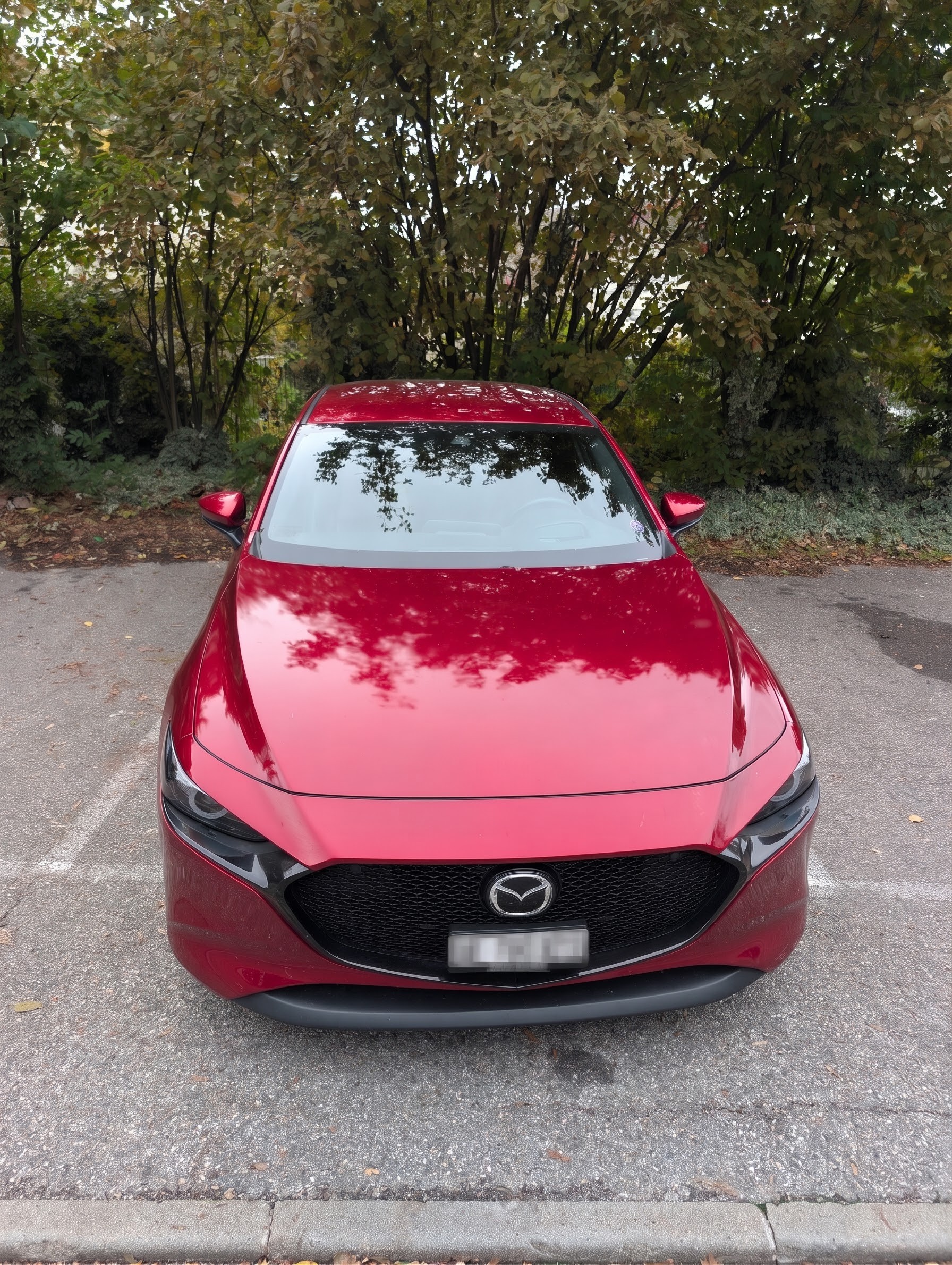 Car photo