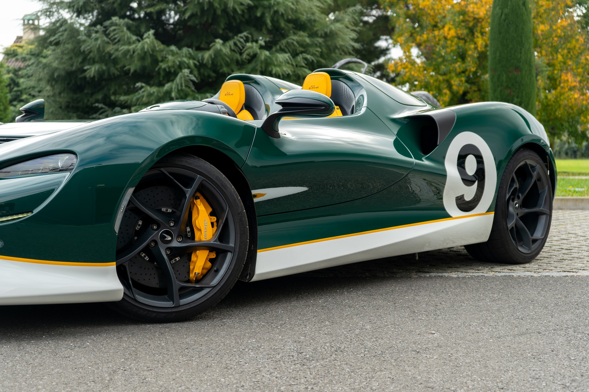 McLAREN Elva - 1 of 149-image-2