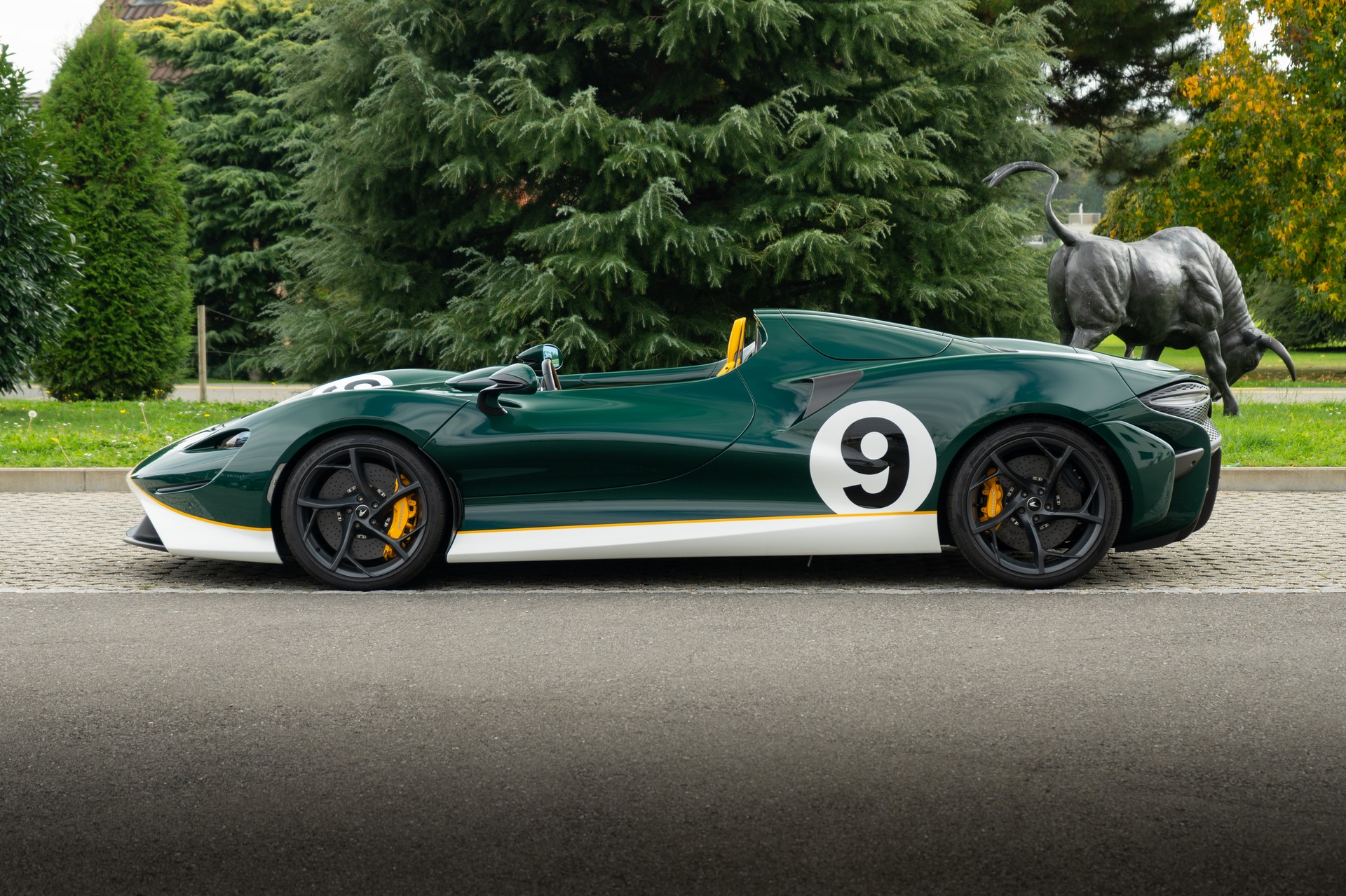 McLAREN Elva - 1 of 149-image-4
