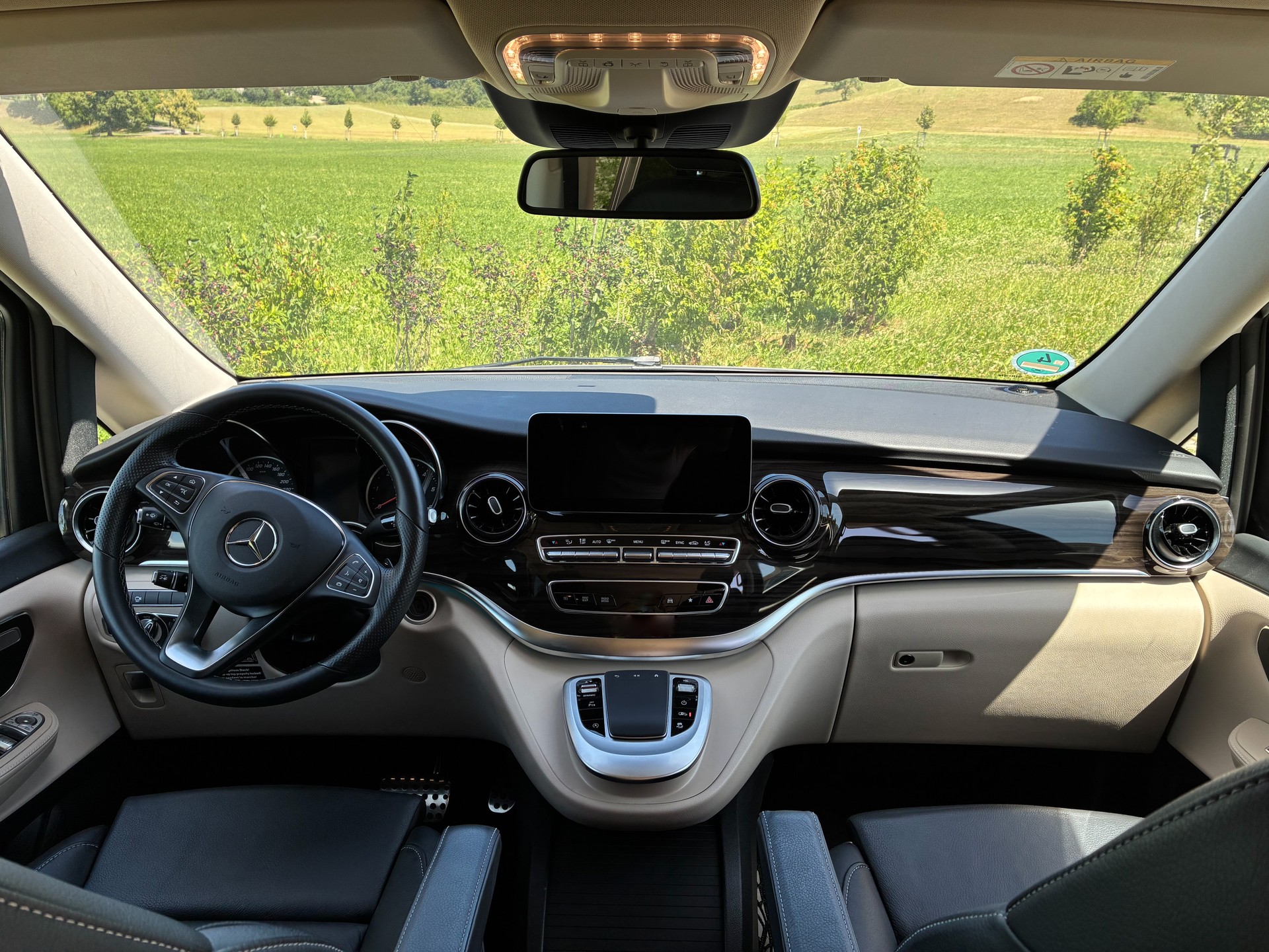 MERCEDES-BENZ 250 d-image-5