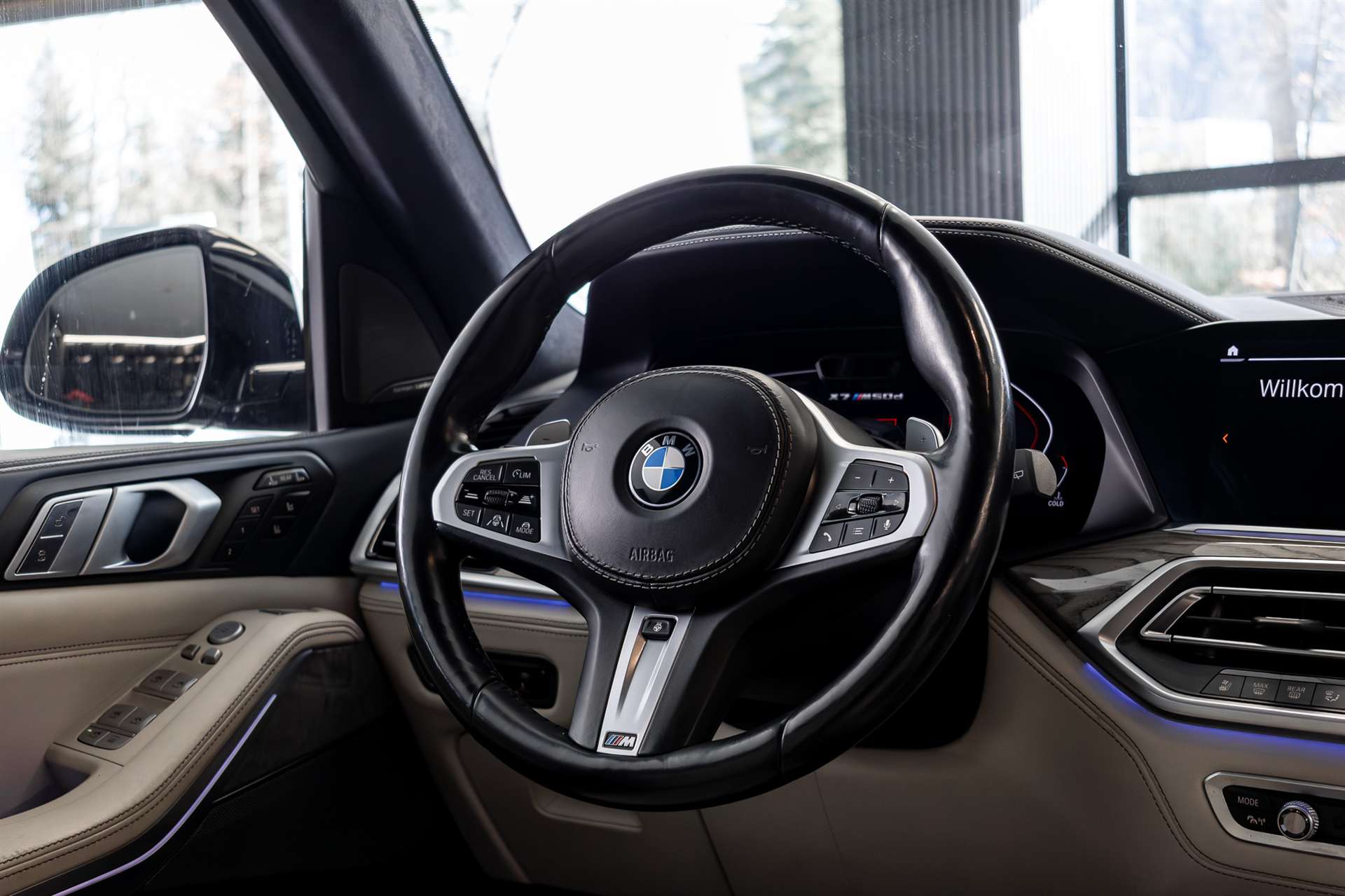 BMW X7 xDrive M50d Steptronic-image-7
