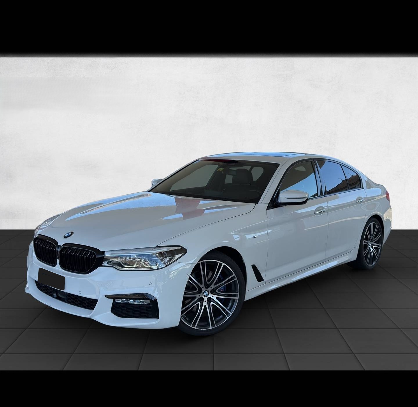 BMW 530d xDrive M-Packet/Topaustattung-image-0