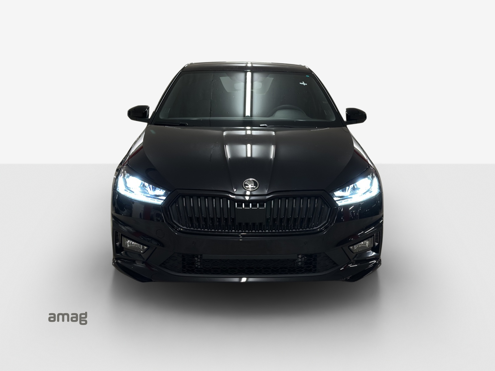 SKODA Fabia 1.0 TSI Monte Carlo DSG-image-6