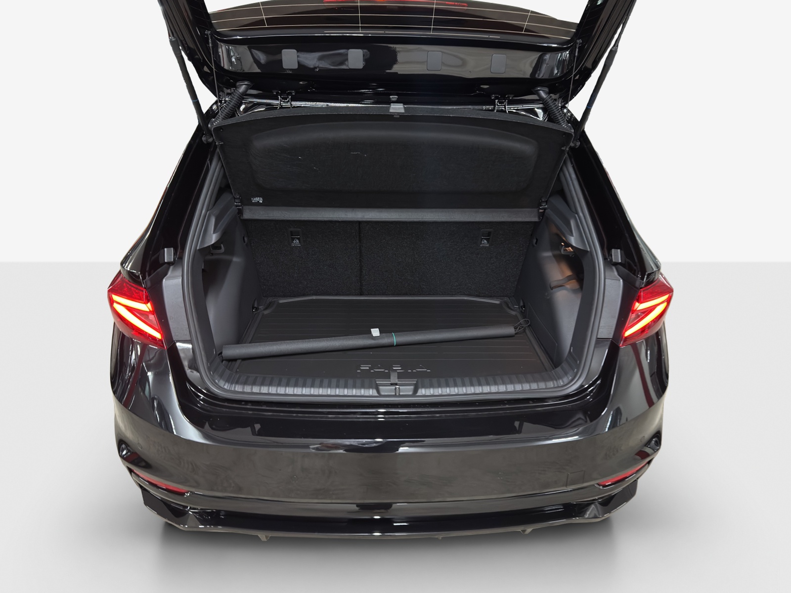 SKODA Fabia 1.0 TSI Monte Carlo DSG-image-12