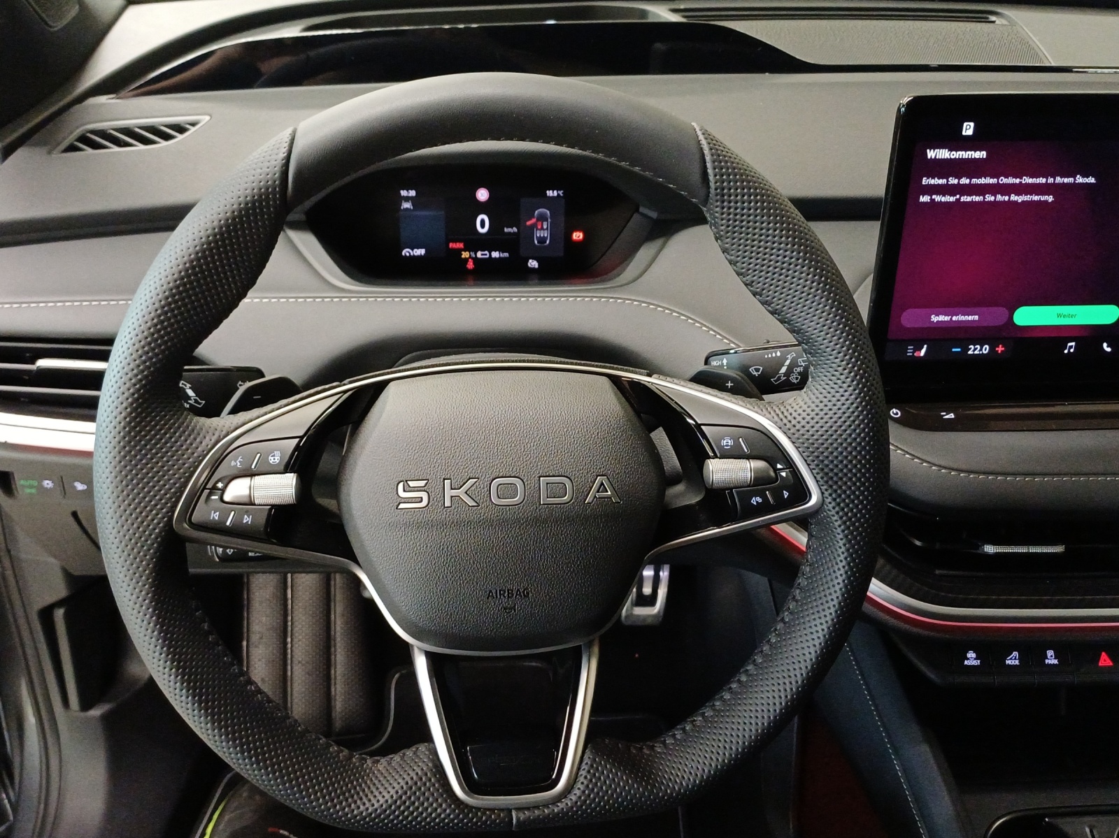 SKODA Enyaq 85x Sportline 4x4-image-9