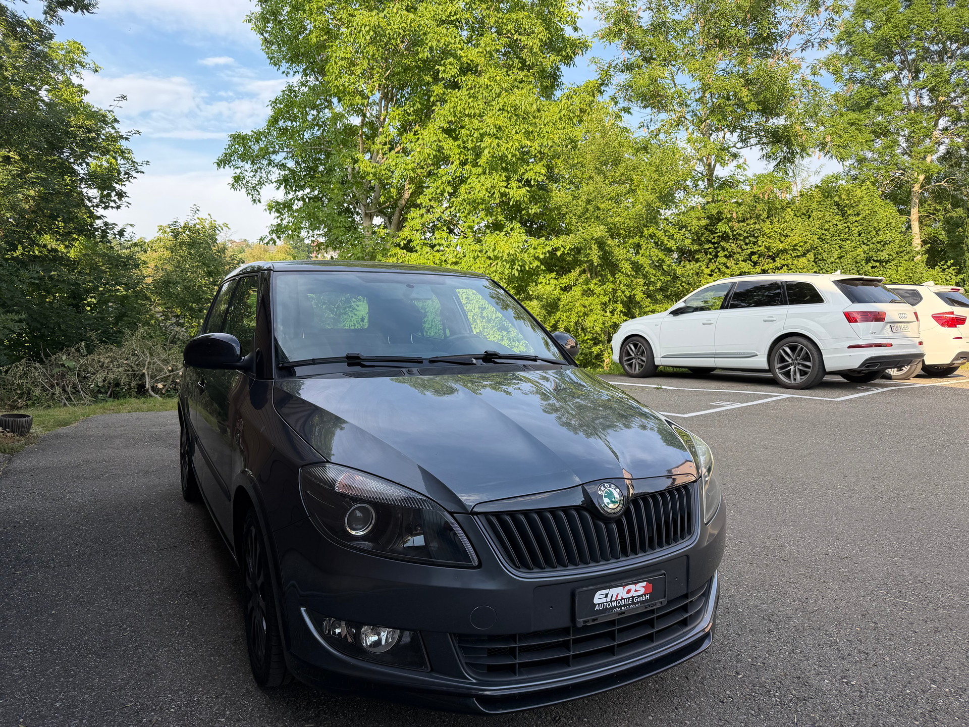 SKODA Fabia 1.2 TSI Monte Carlo-image-2