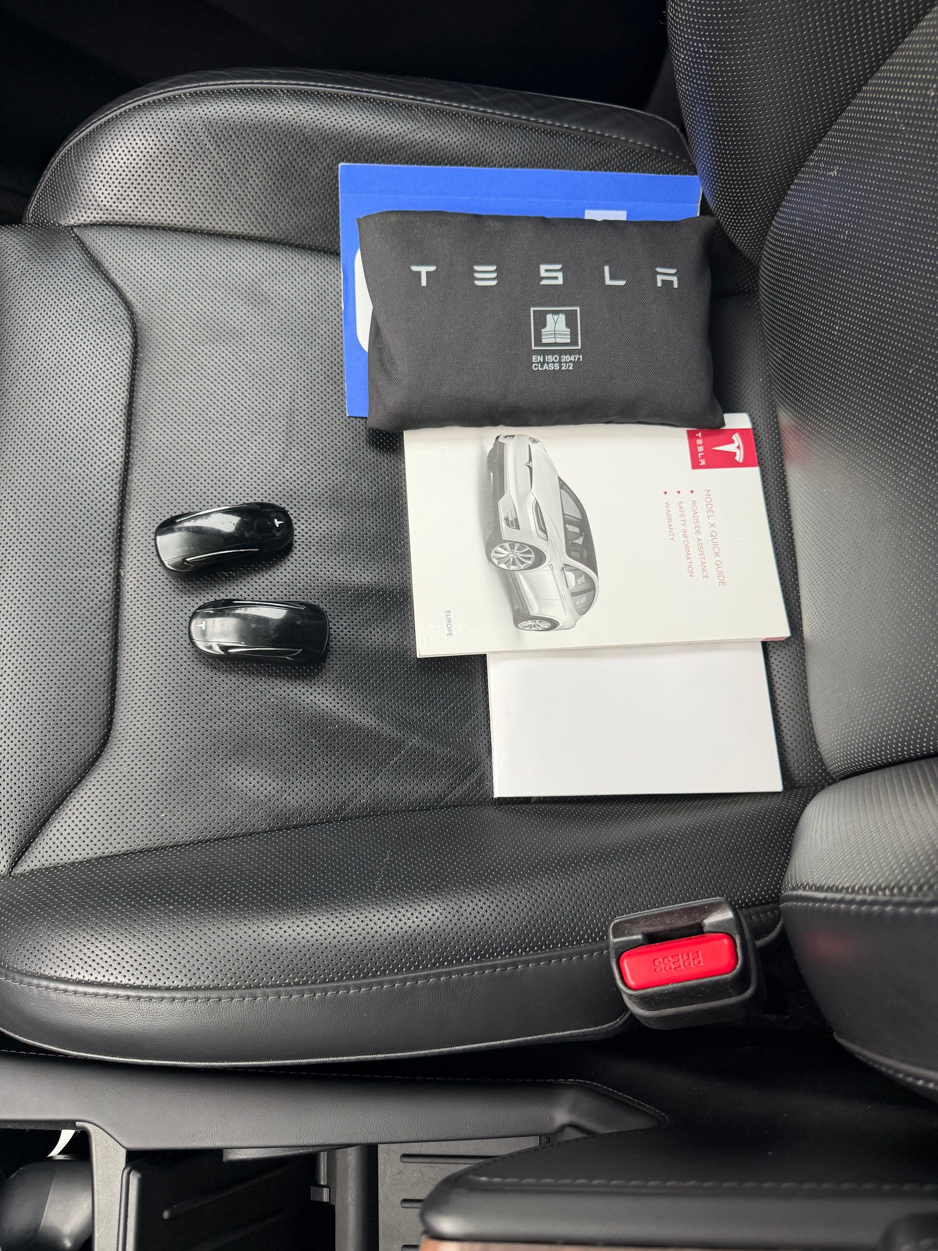 TESLA Mode X 75 D-image-2