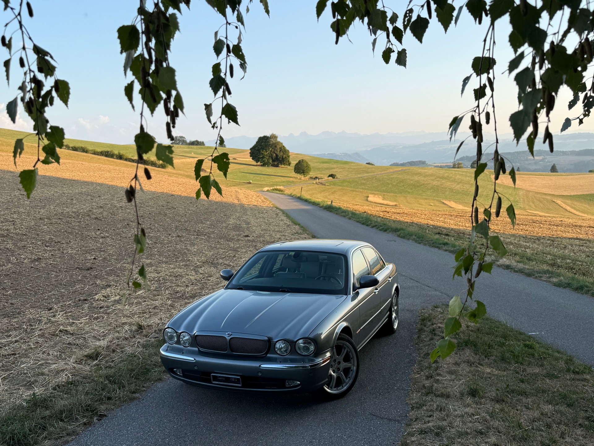 JAGUAR 4.2 V8 Executive-image-2