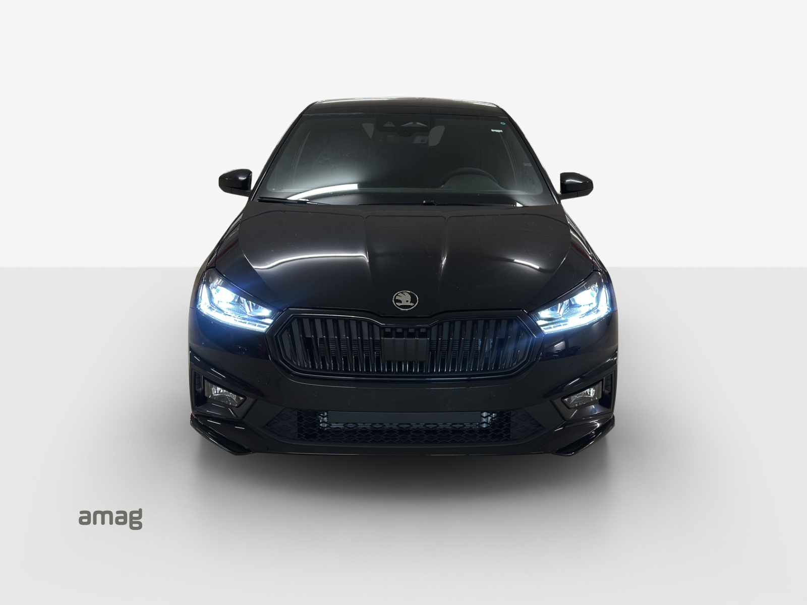 SKODA Fabia 1.0 TSI Selection DSG-image-6