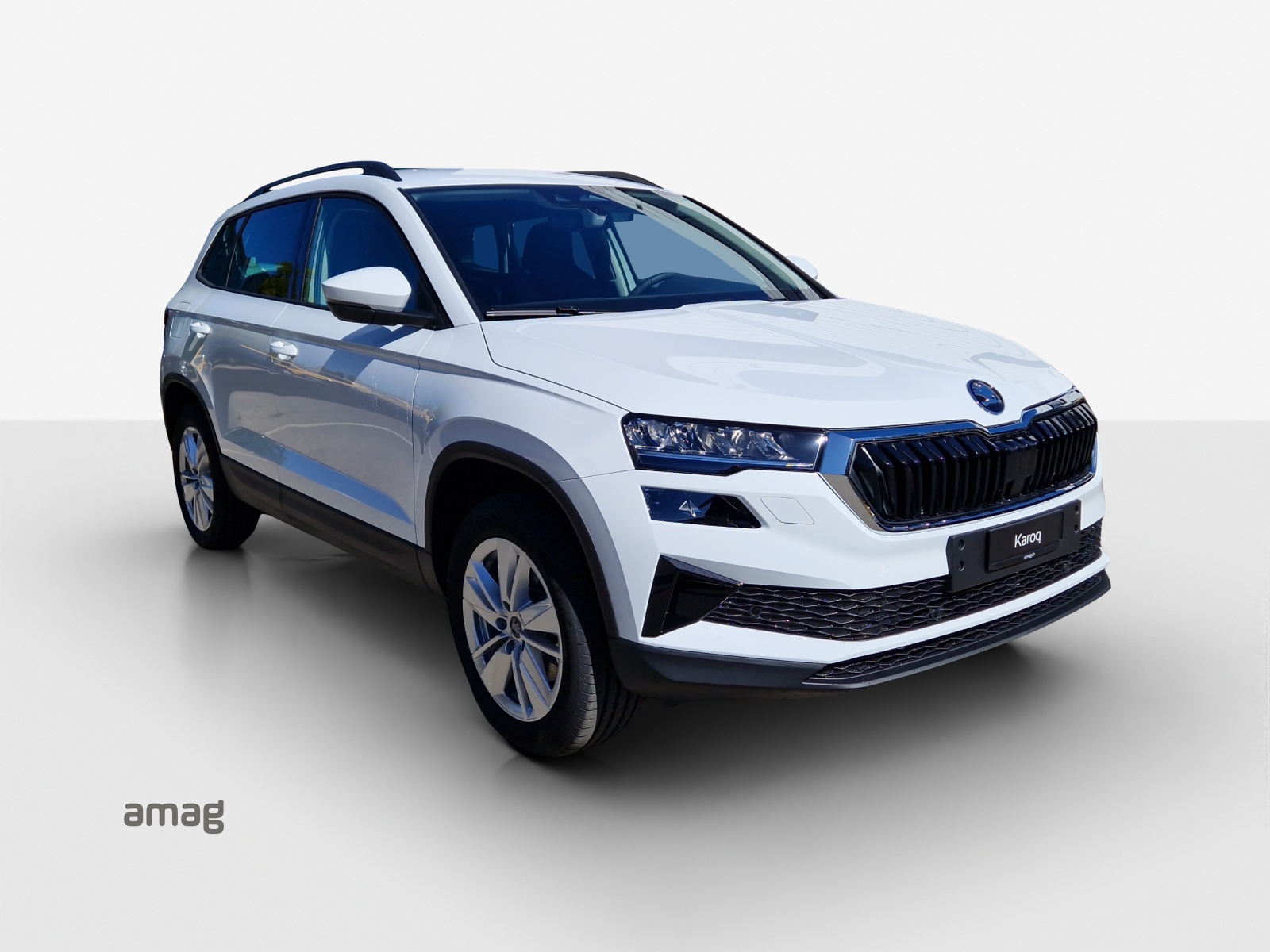 SKODA Karoq 2.0 TDI CR Selection 4x4 DSG-image-5