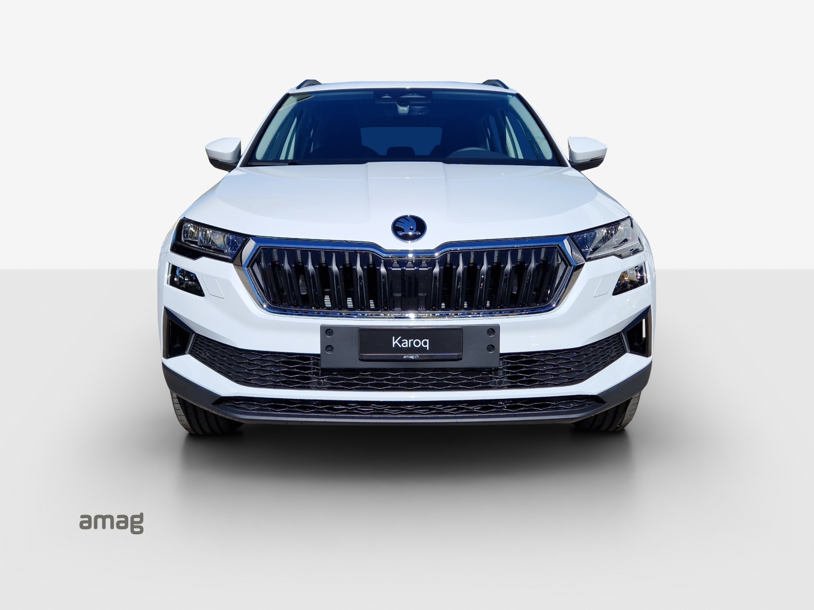 SKODA Karoq 2.0 TDI CR Selection 4x4 DSG-image-6