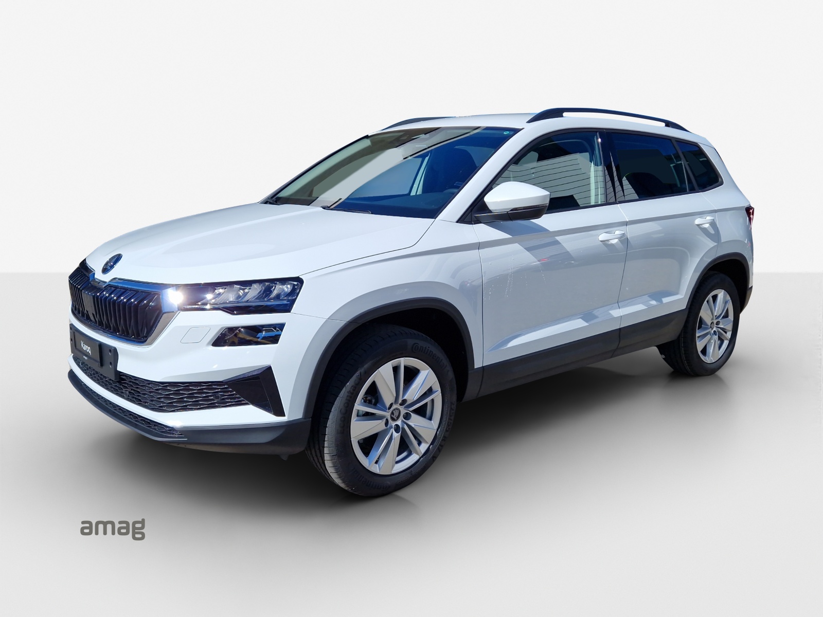SKODA Karoq 2.0 TDI CR Selection 4x4 DSG-image-0