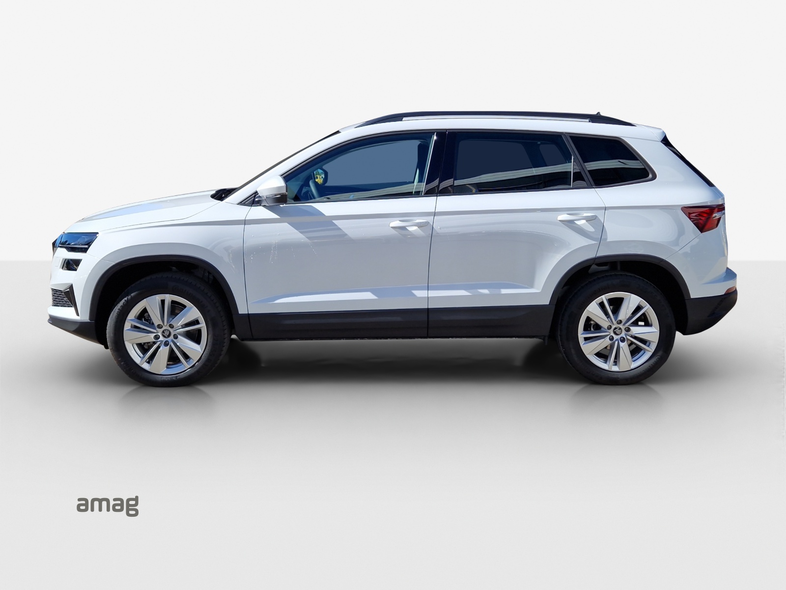 SKODA Karoq 2.0 TDI CR Selection 4x4 DSG-image-1