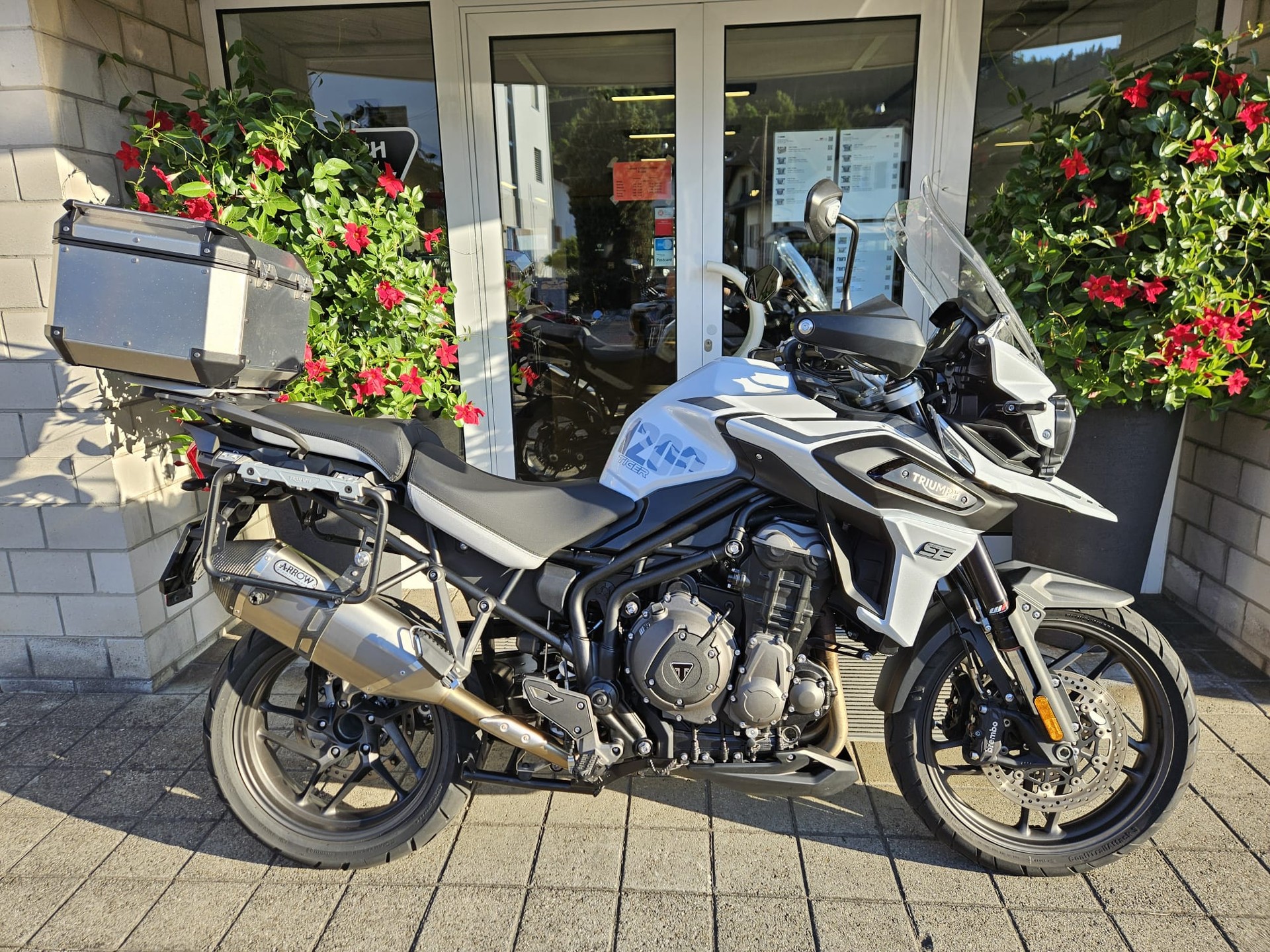 TRIUMPH Tiger 1200 Alpine Edition-showroom-element-1