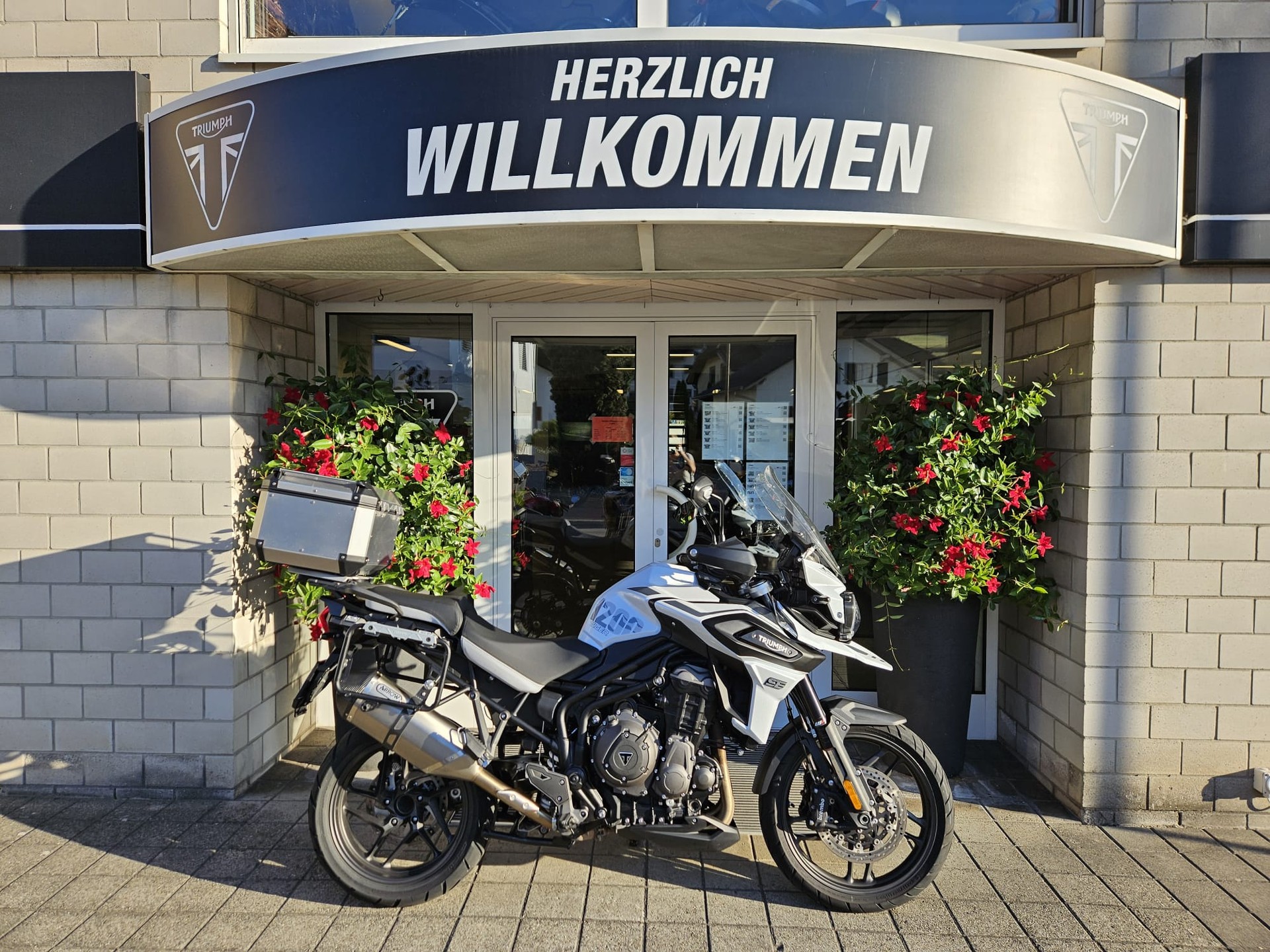 TRIUMPH Tiger 1200 Alpine Edition
