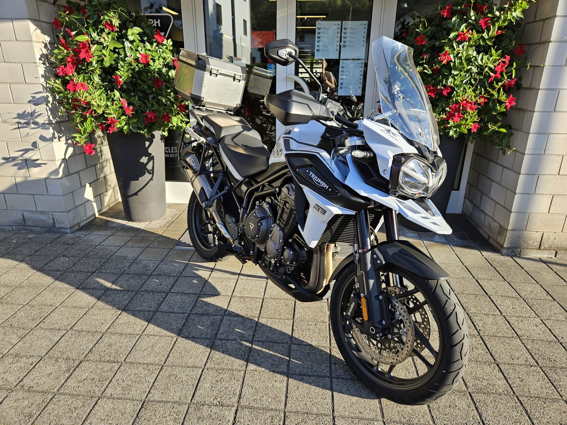 TRIUMPH Tiger 1200 Alpine Edition-showroom-element-2