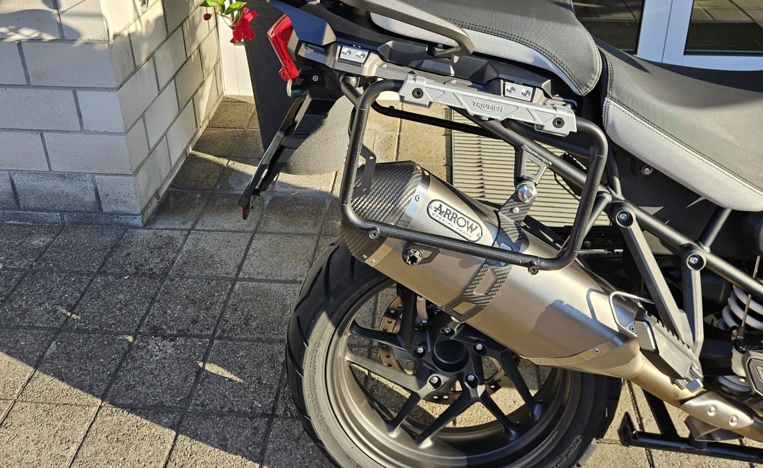 TRIUMPH Tiger 1200 Alpine Edition-image-8