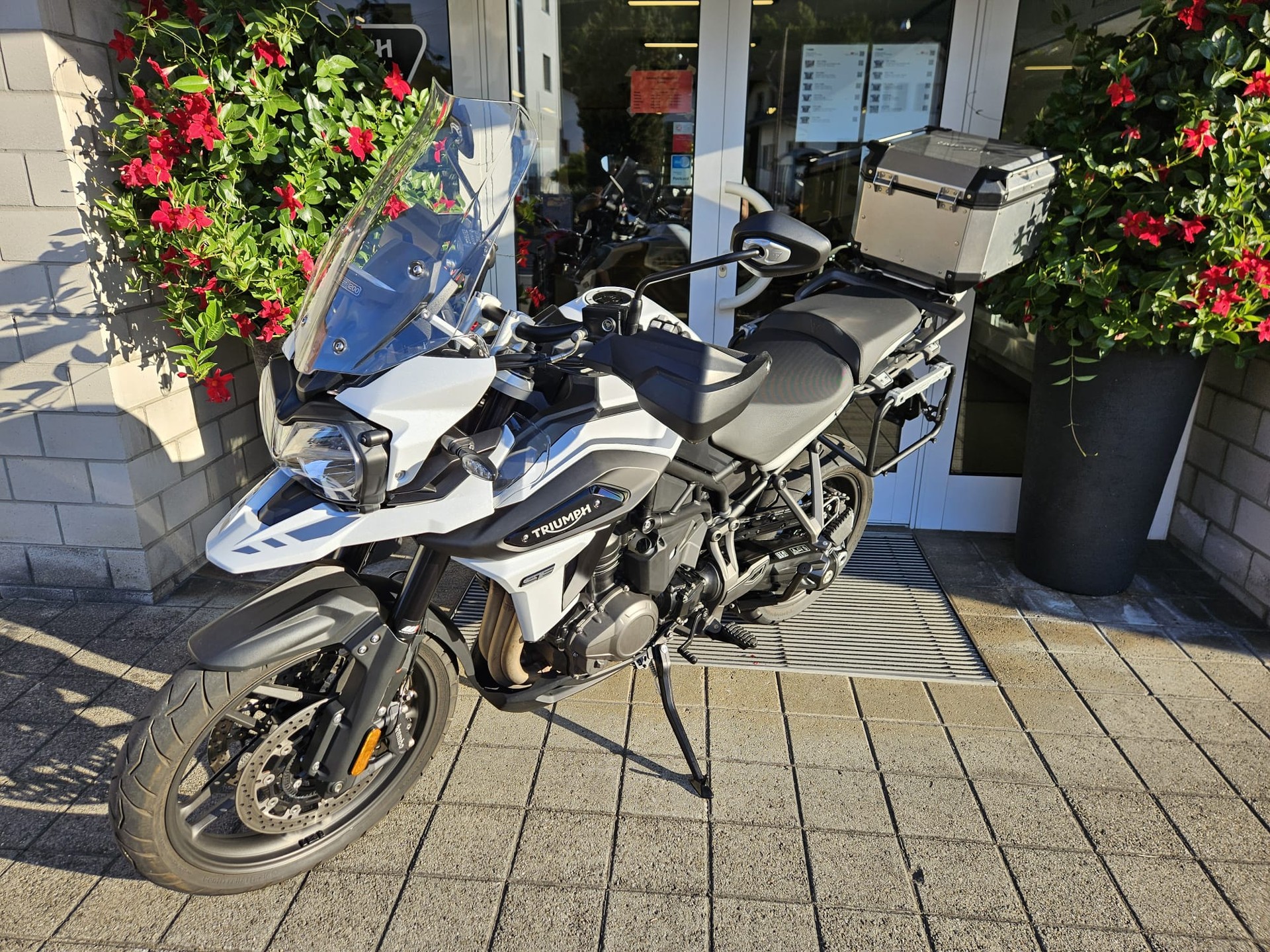 TRIUMPH Tiger 1200 Alpine Edition-showroom-element-3