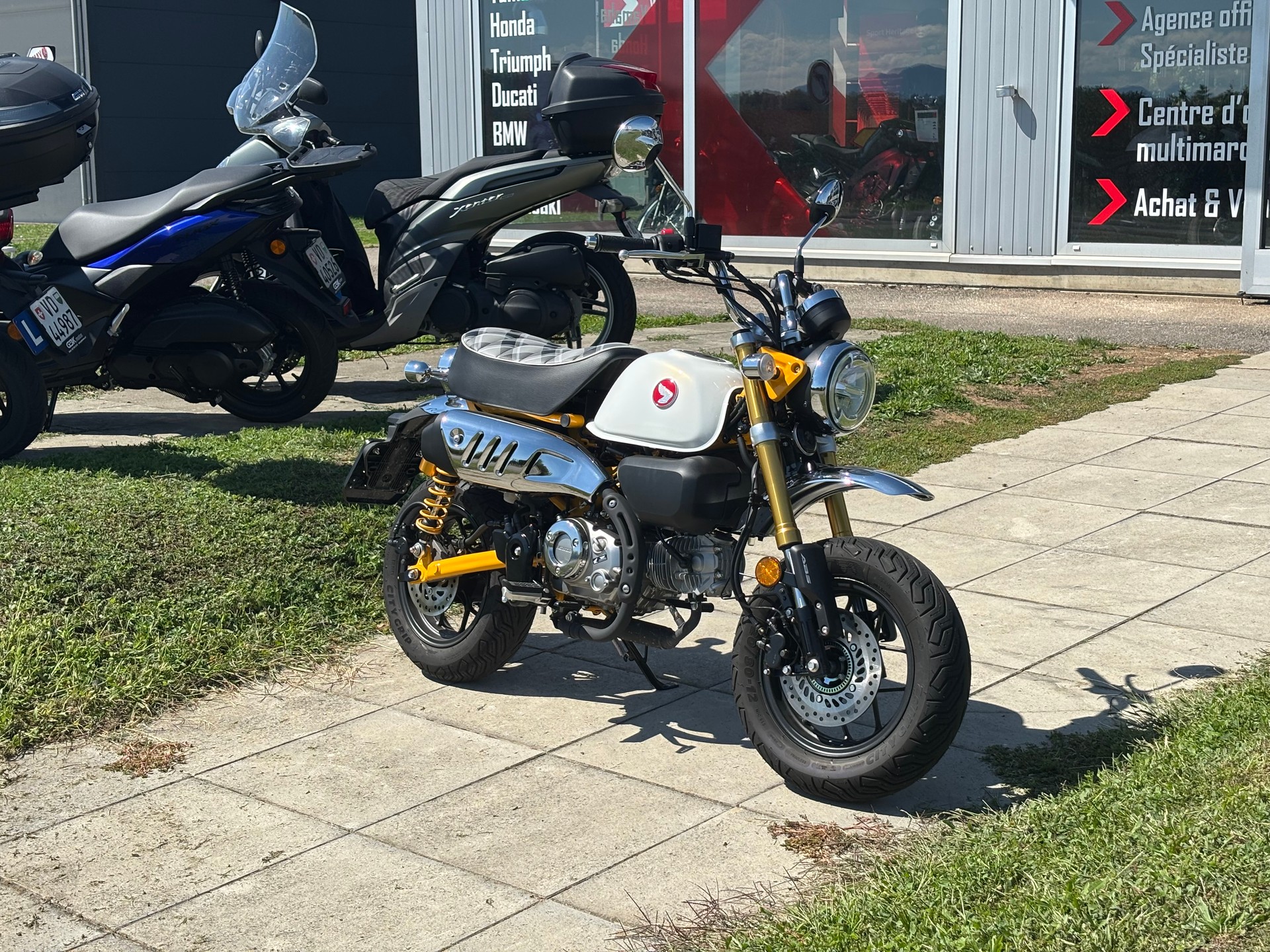 HONDA MONKEY-image-5