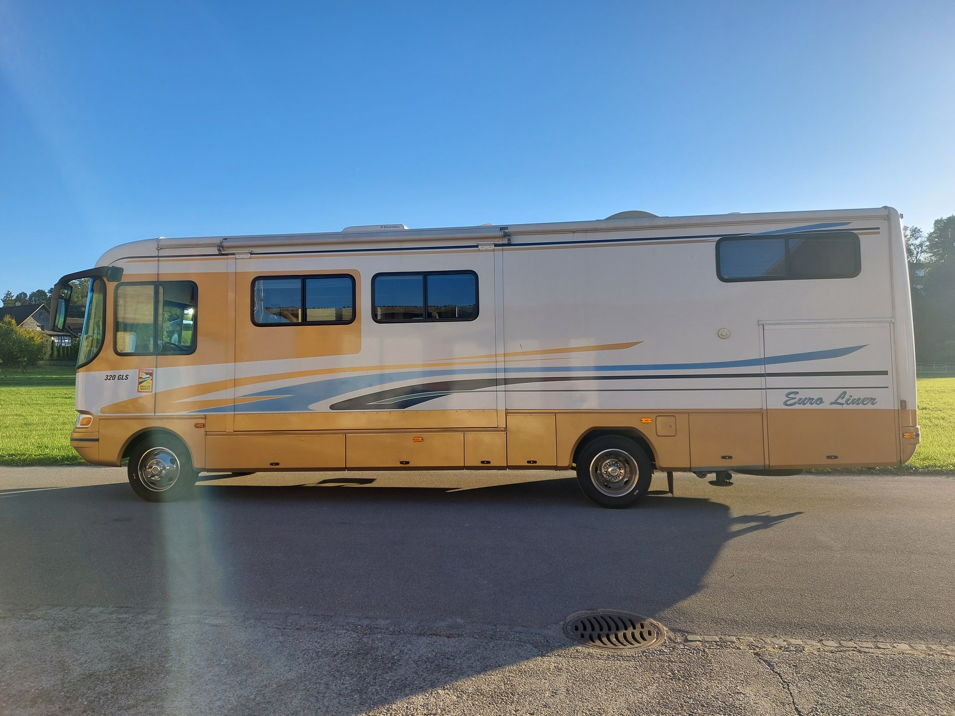 EUROLINER / WORKHORSE 320 GLS-image-3