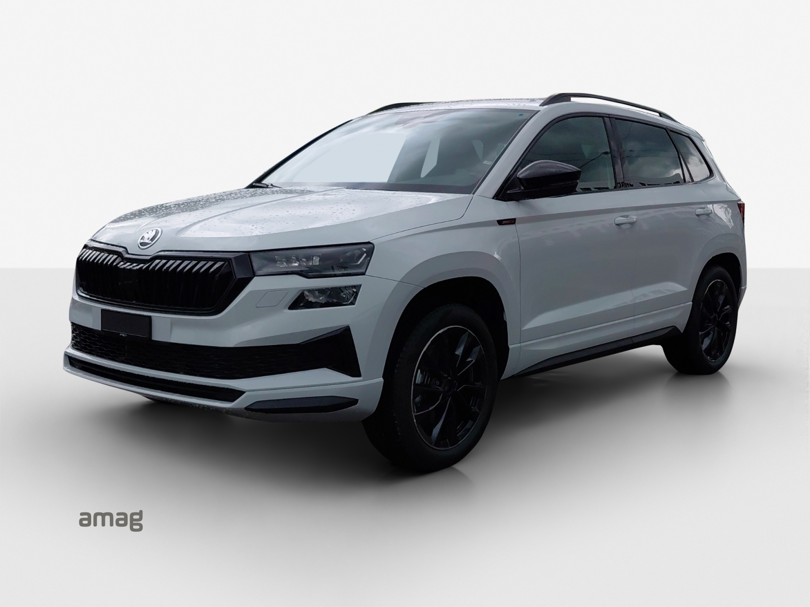 SKODA Karoq 2.0 TSI Dynamic Limited Edition 4x4 DSG