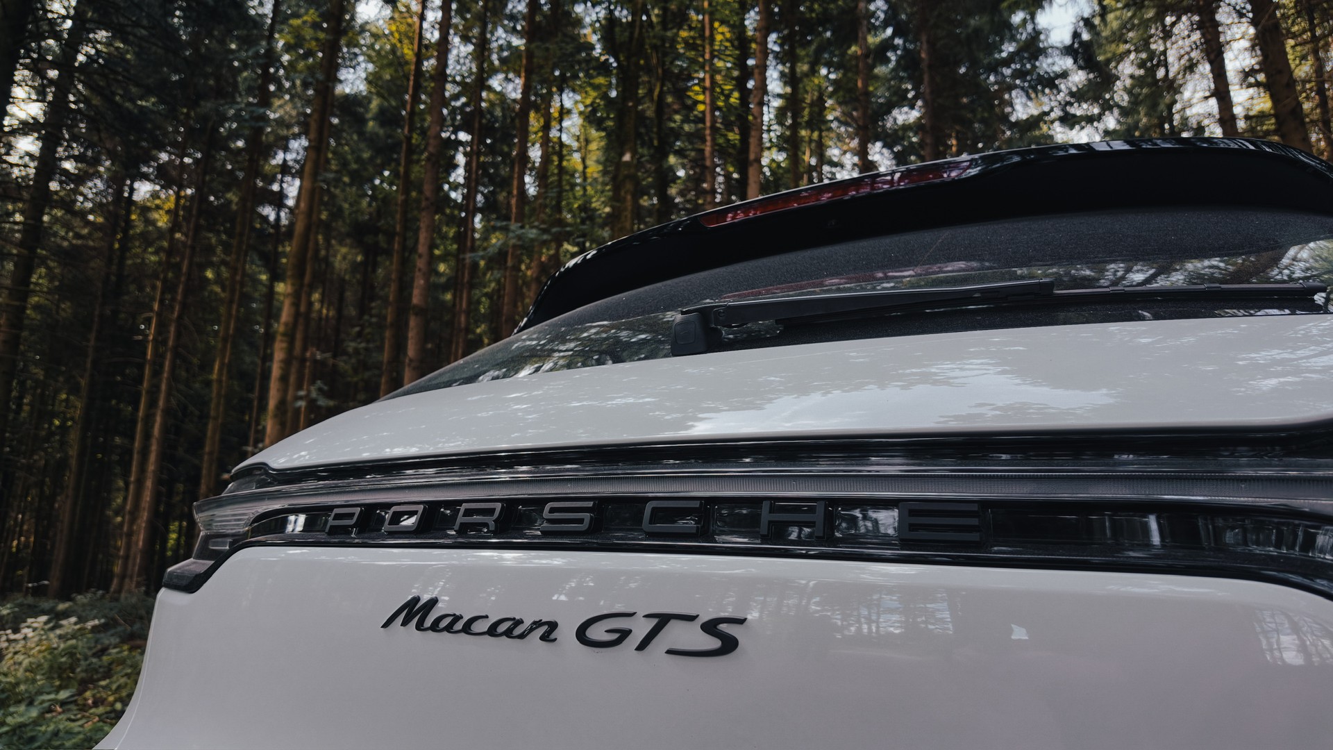 PORSCHE Macan GTS PDK-image-5