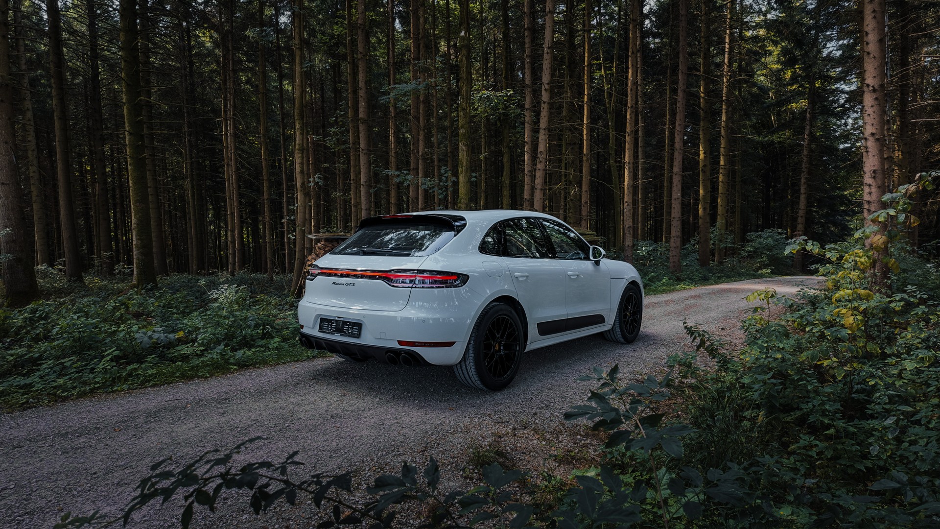 PORSCHE Macan GTS PDK-image-2