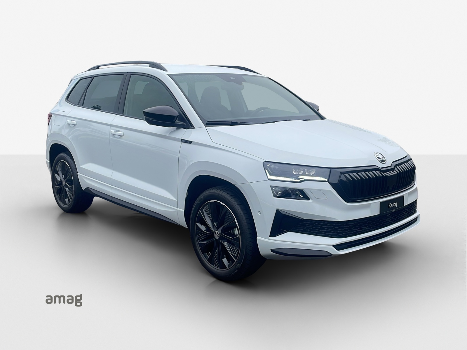 SKODA Karoq 1.5 TSI SportLine DSG-image-6