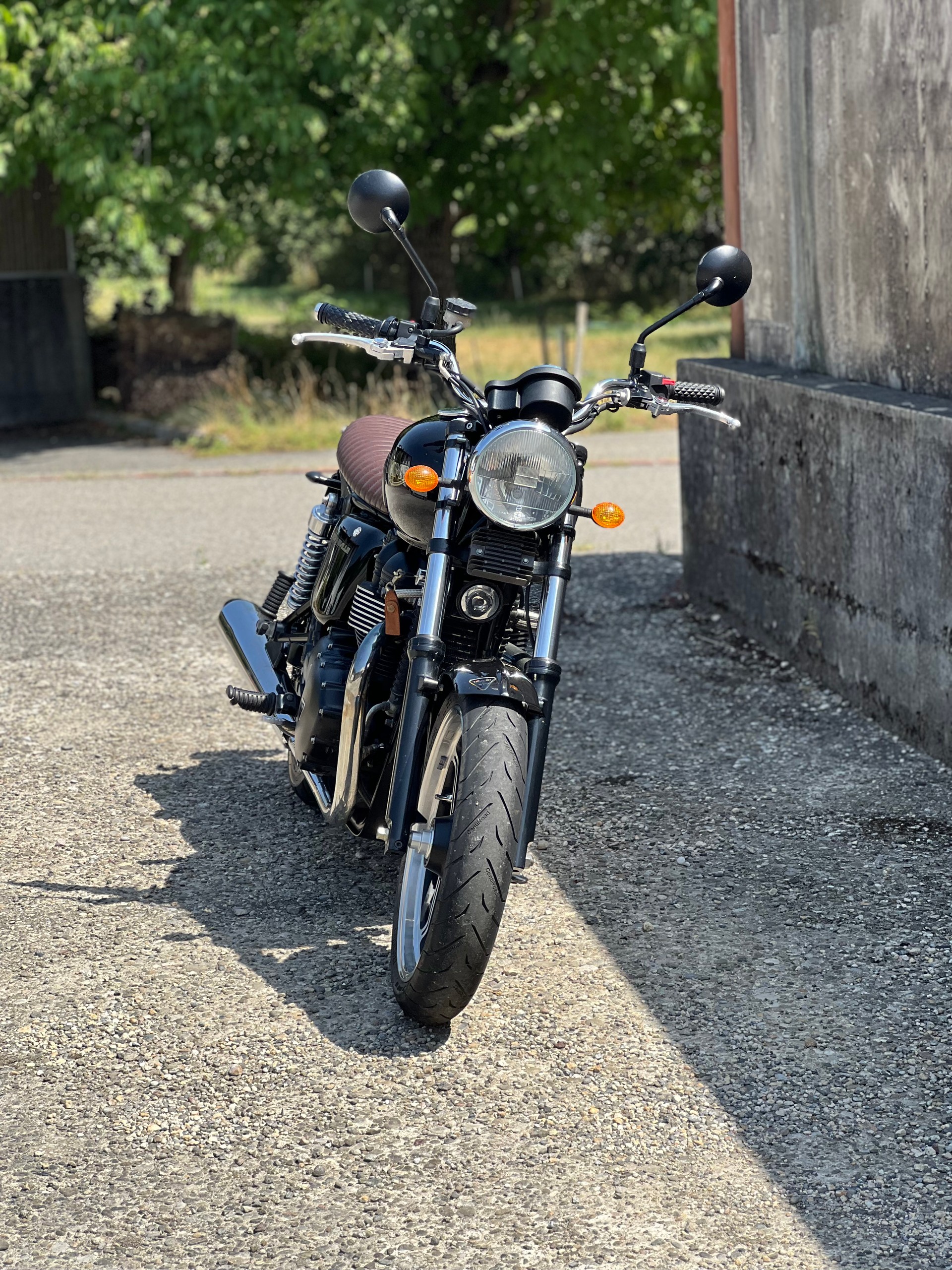 TRIUMPH Bonneville SE 900 i-image-5