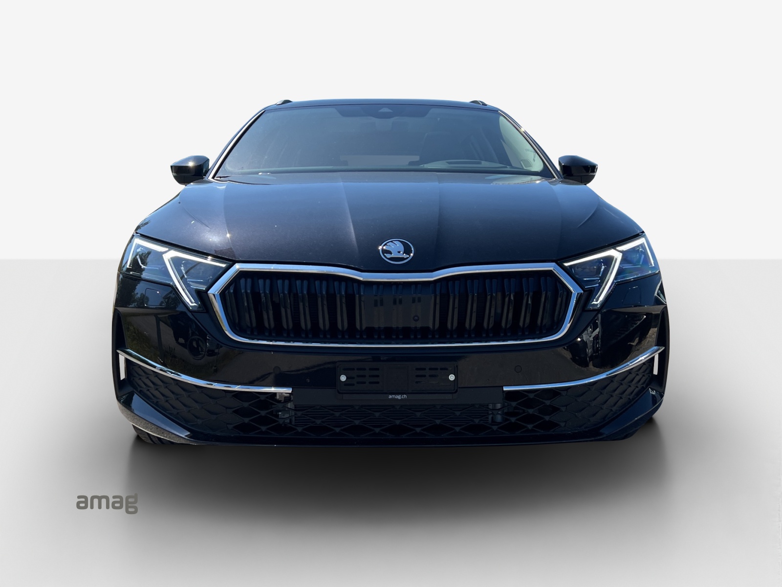 SKODA Oct. SE 2.0 TDI 150PS 7DSG-image-6