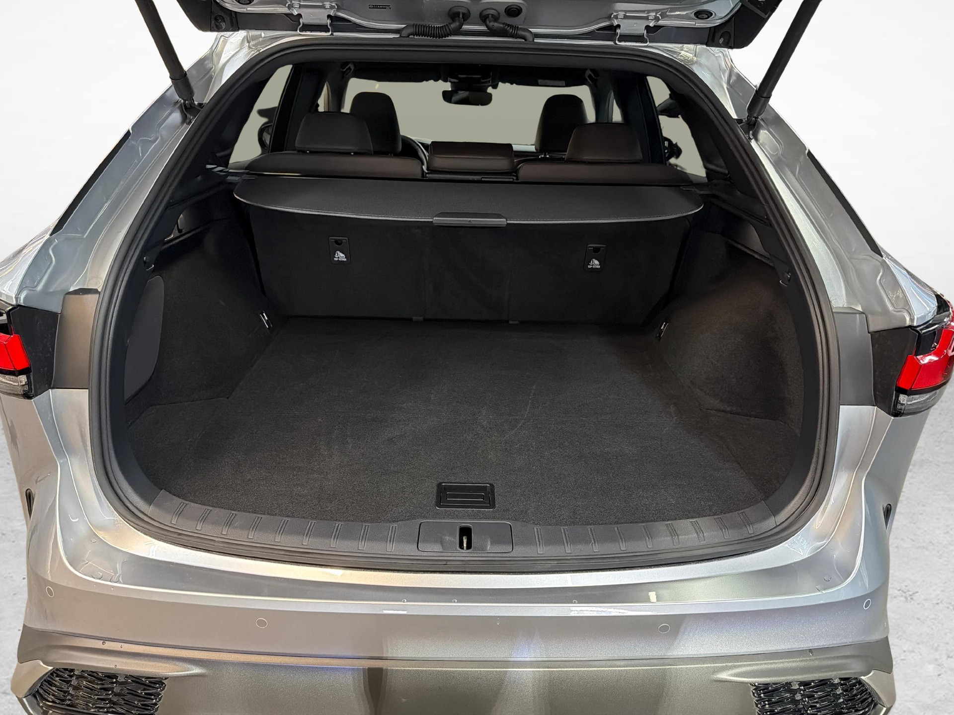 LEXUS RX 350h F-Line-image-11