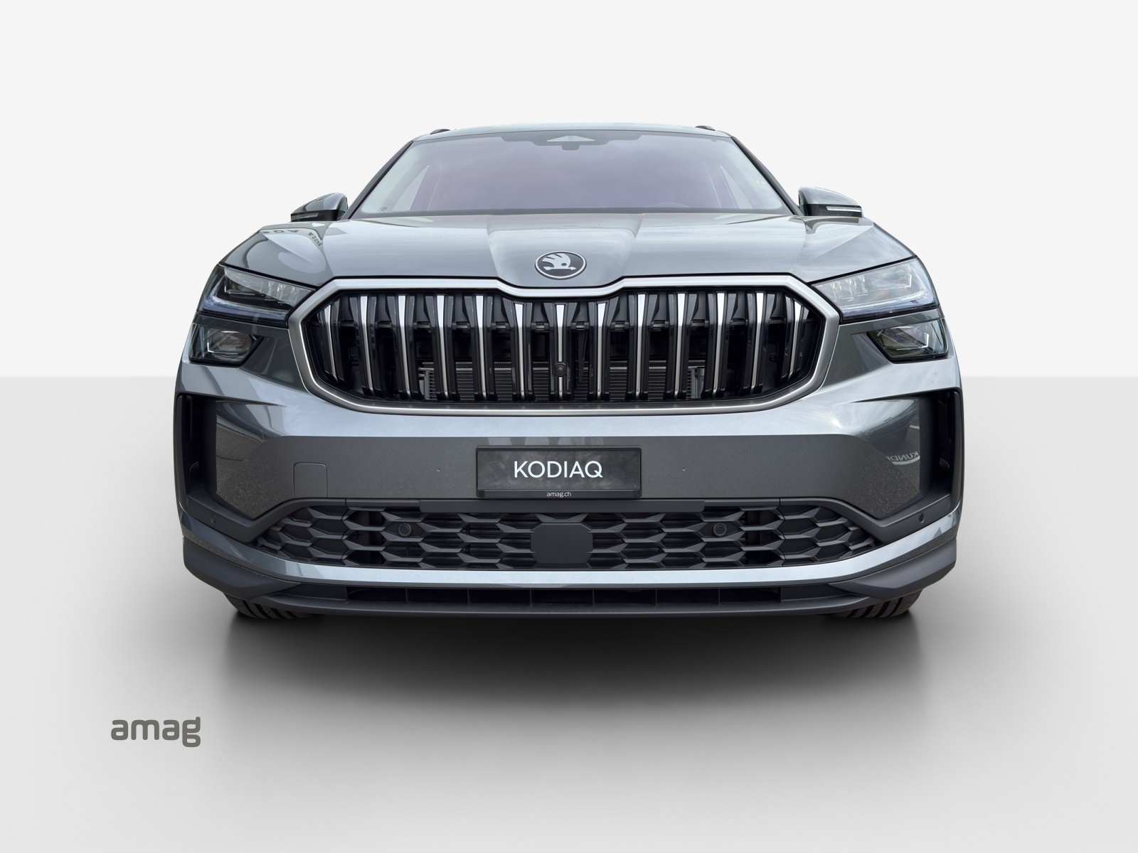 SKODA Kodiaq 2.0 TSI Dynamic 4x4-image-6