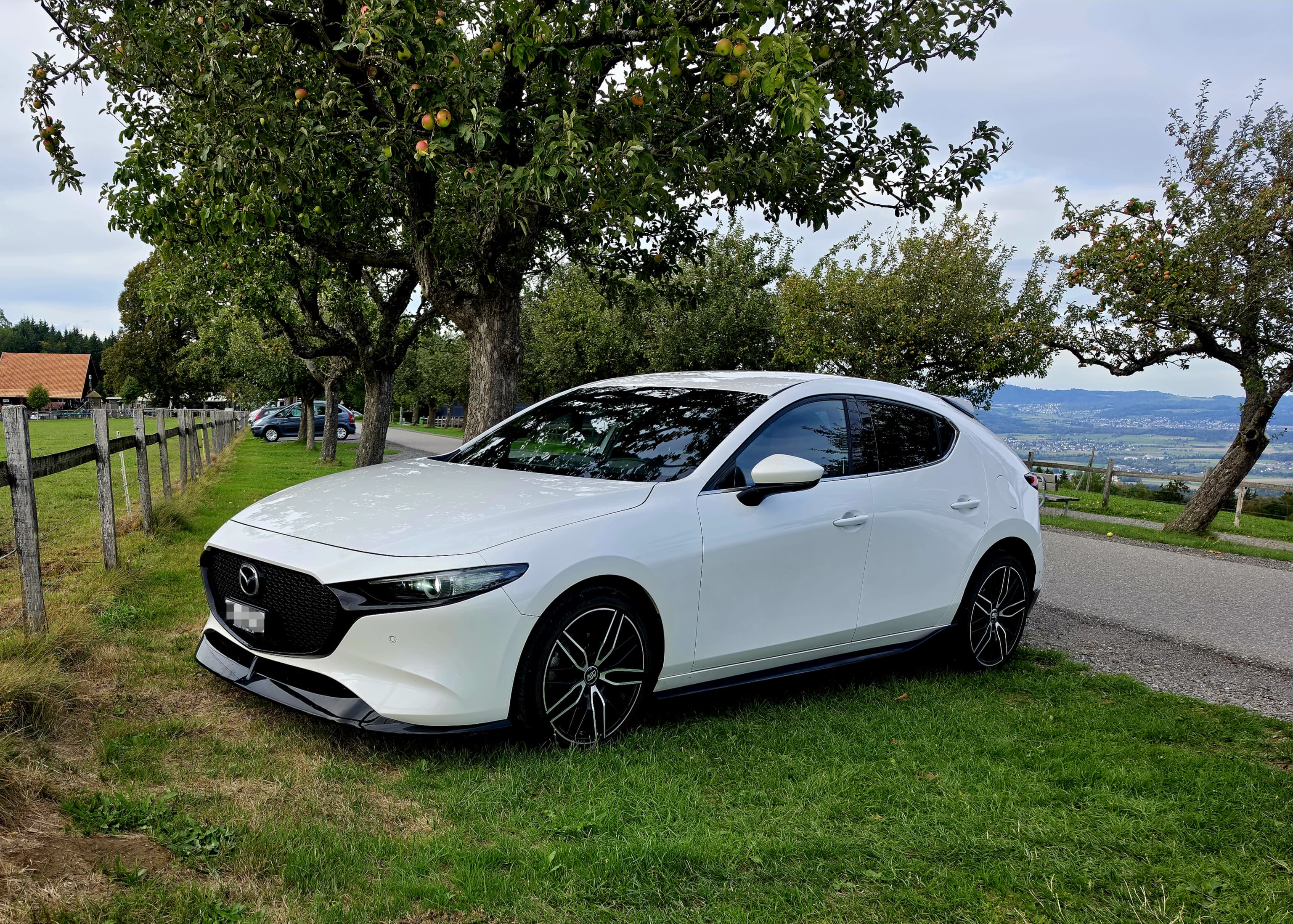 Car photo