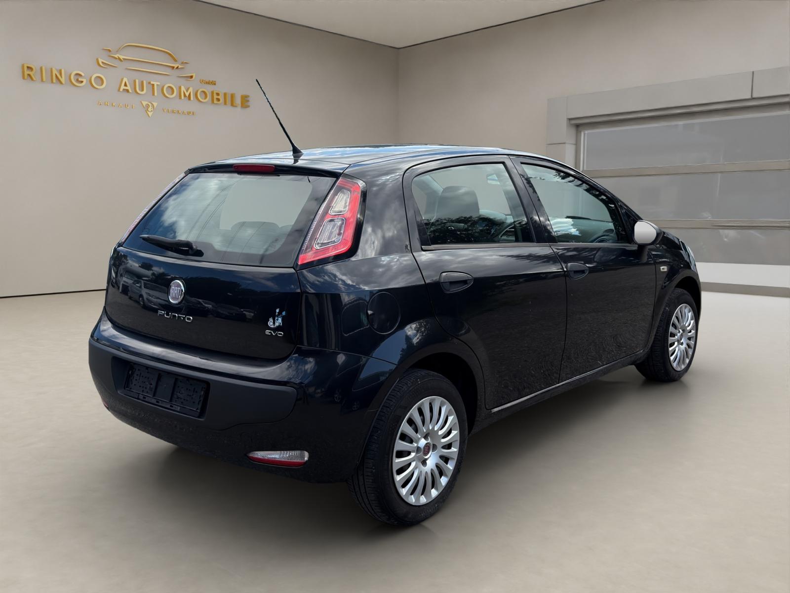 FIAT Punto 1.4 Genius-image-5