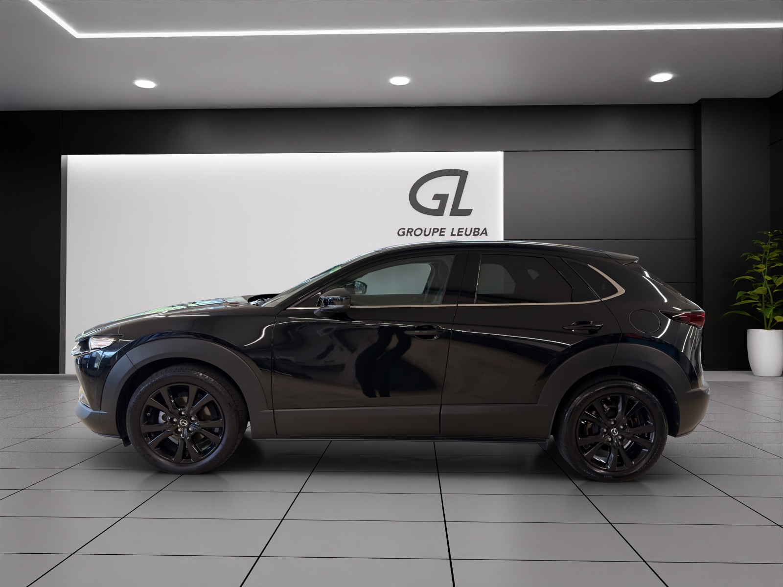 MAZDA CX-30 X 186 Homura AWD-image-2