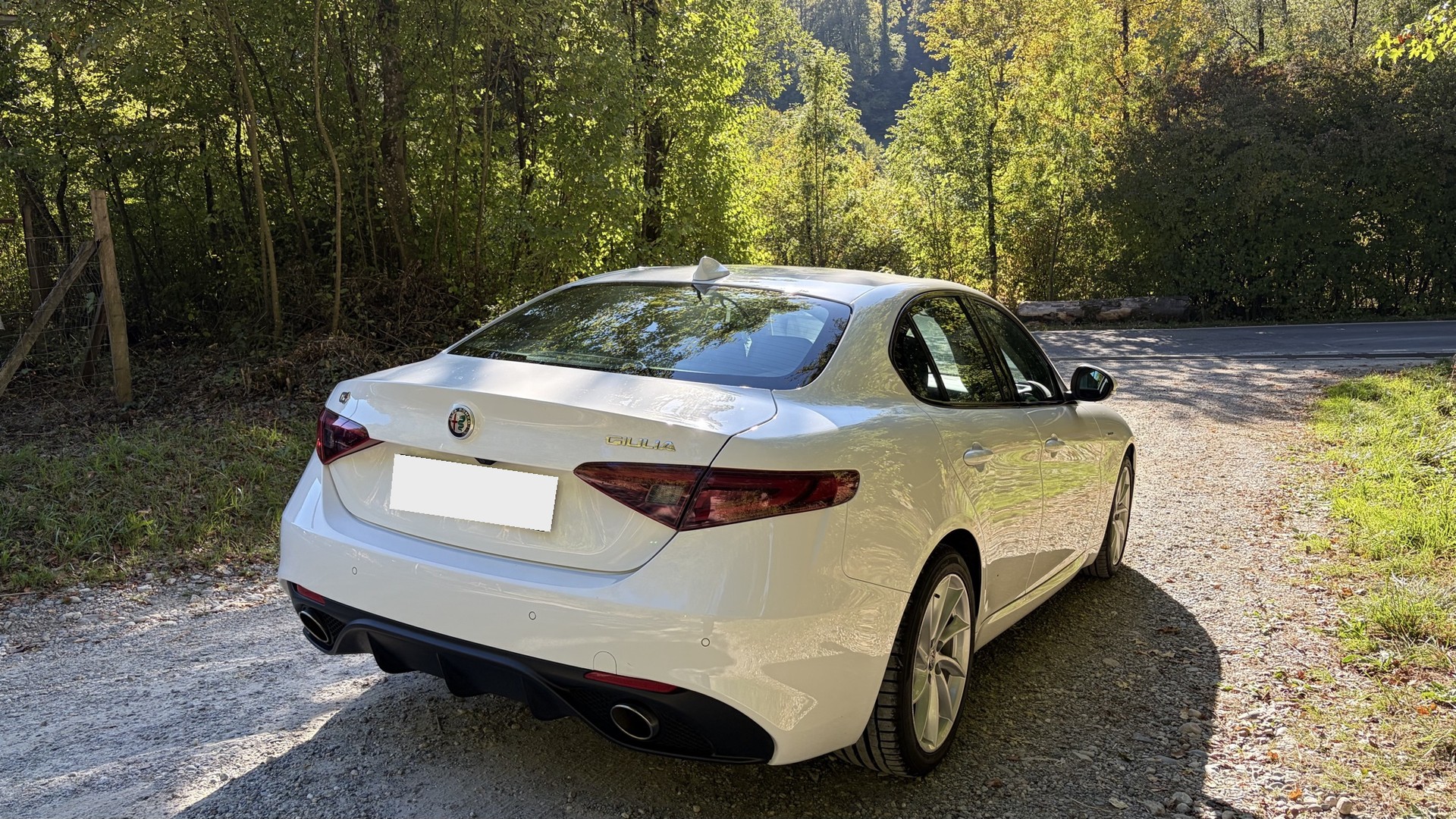 ALFA ROMEO 2.2 D Q4 210 Veloce-image-2