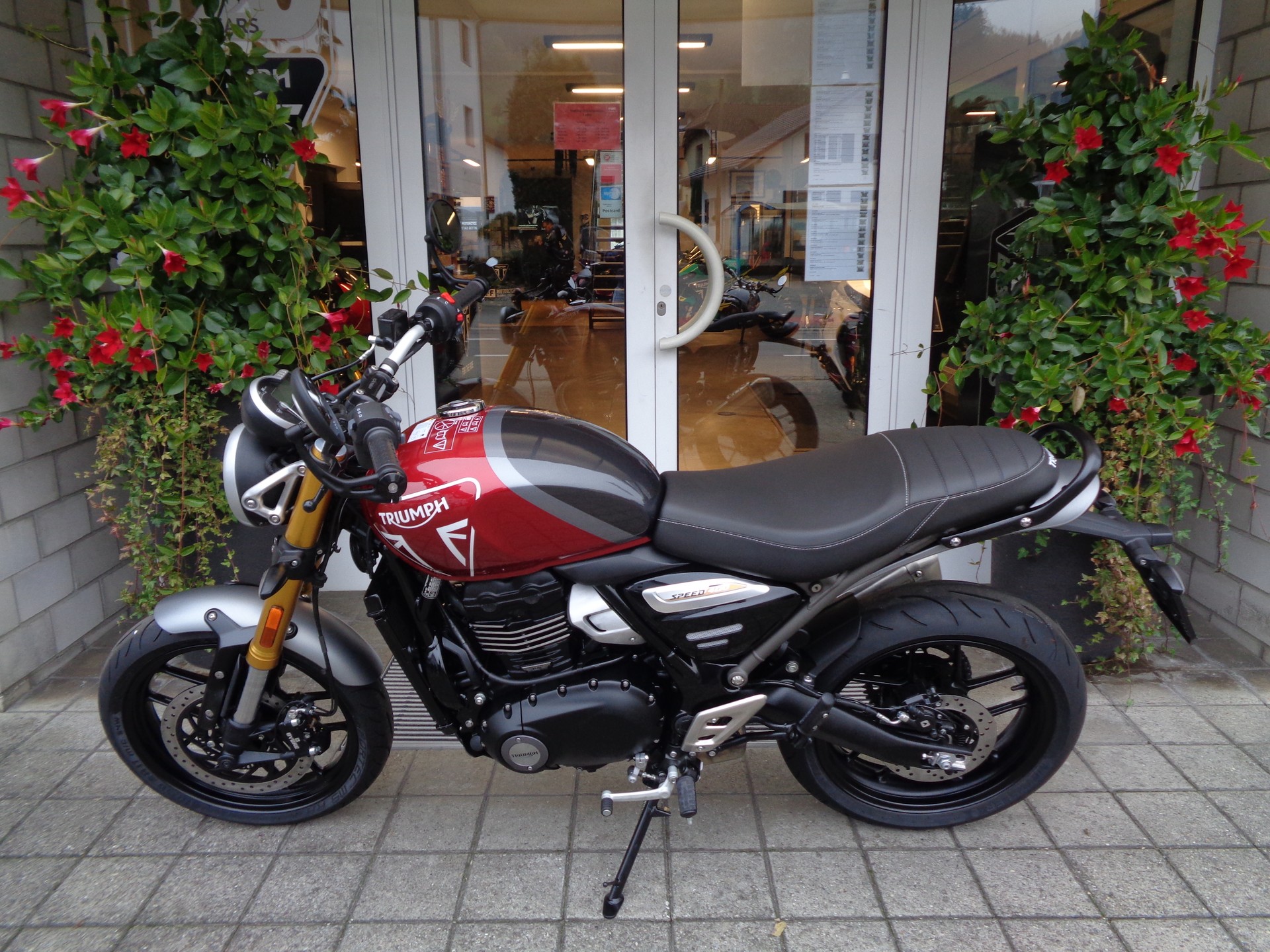 TRIUMPH Speed 400-image-4