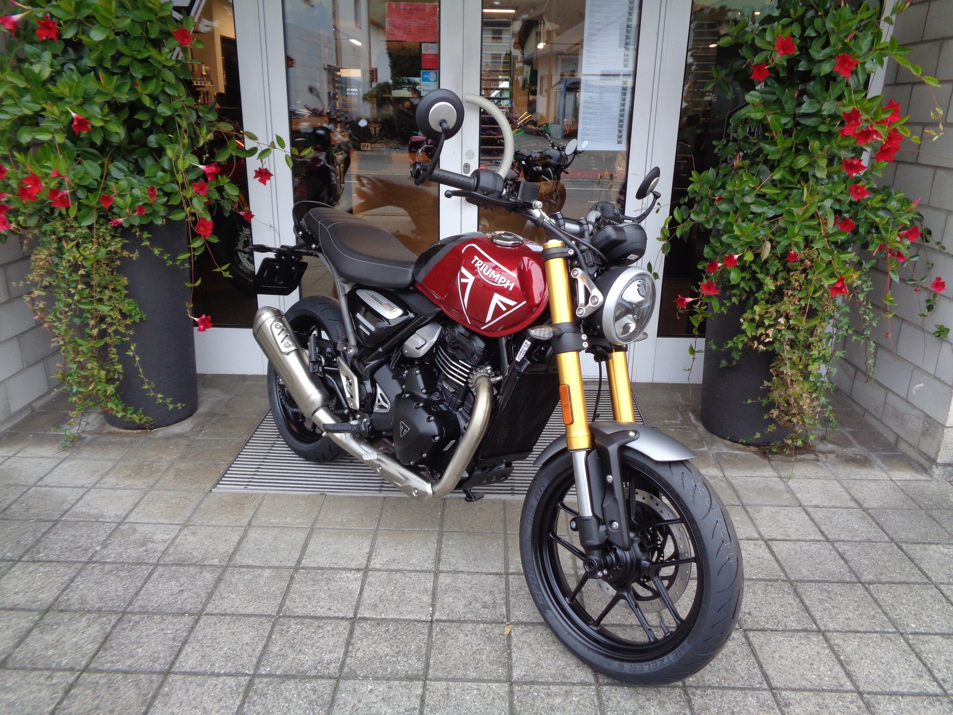 TRIUMPH Speed 400-showroom-element-2