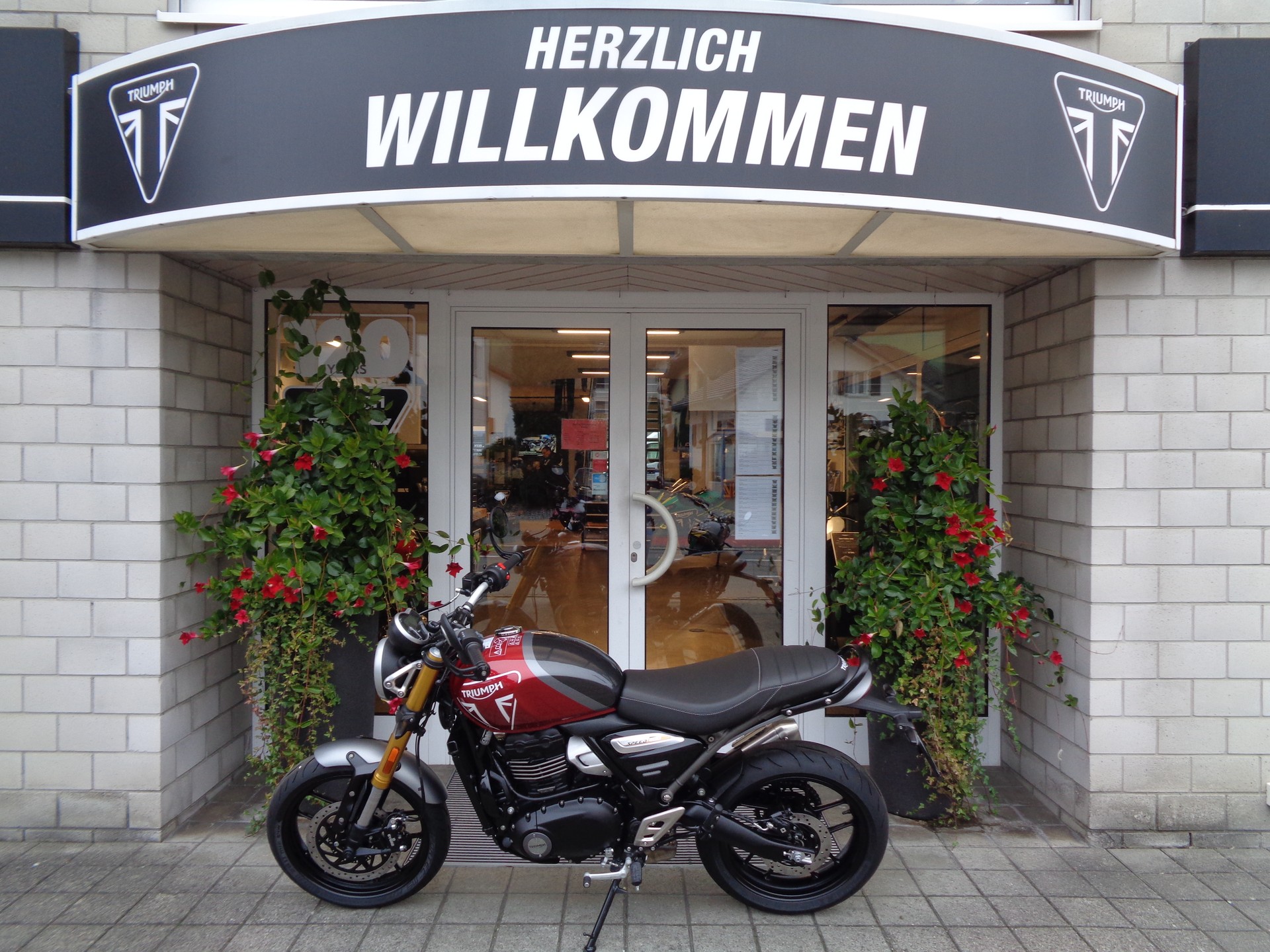 TRIUMPH Speed 400-showroom-element-3