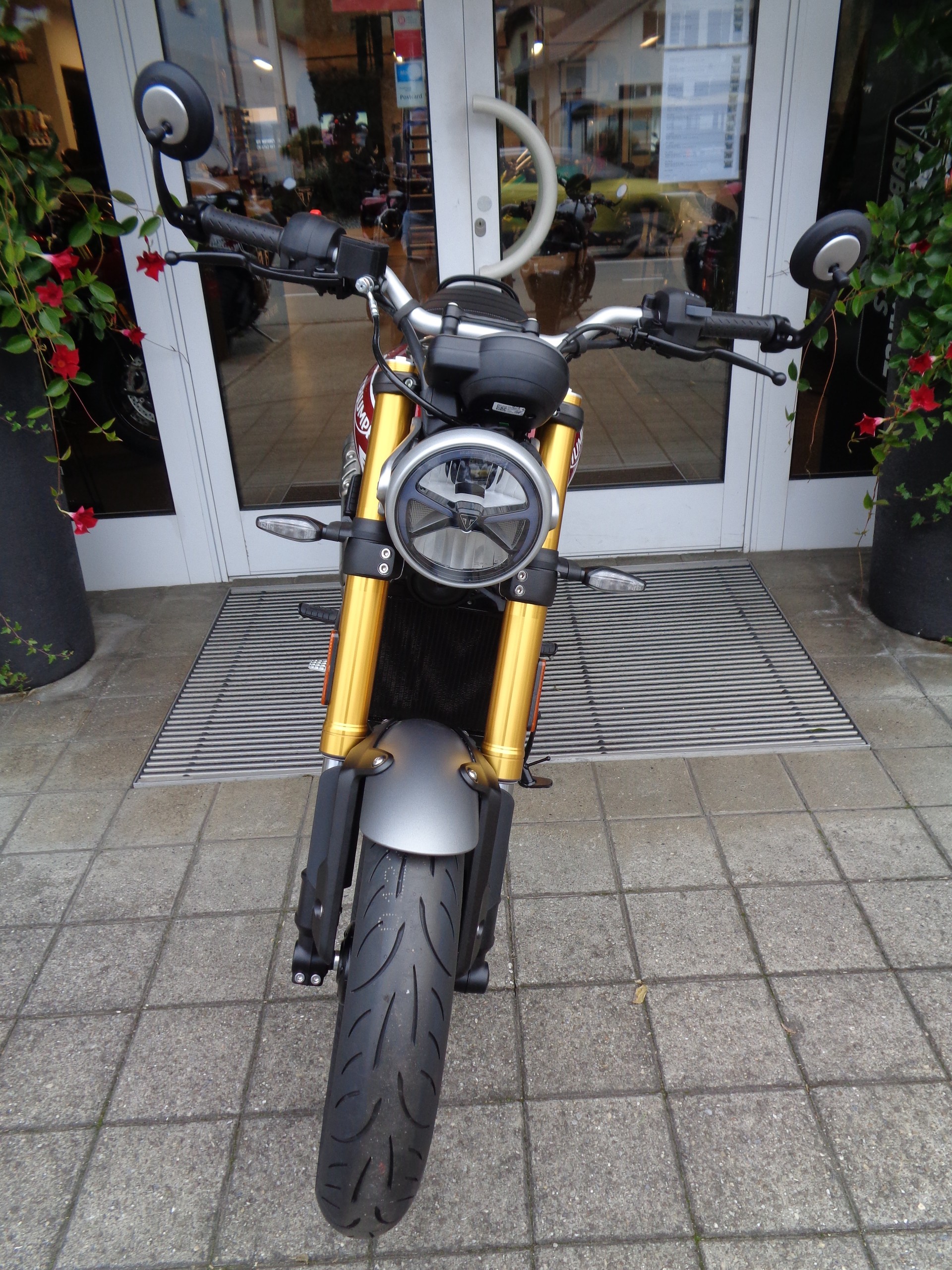 TRIUMPH Speed 400-image-5