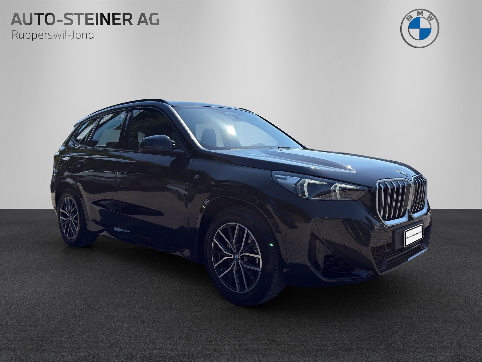BMW X1 23i xDrive 48V M Sport-image-6