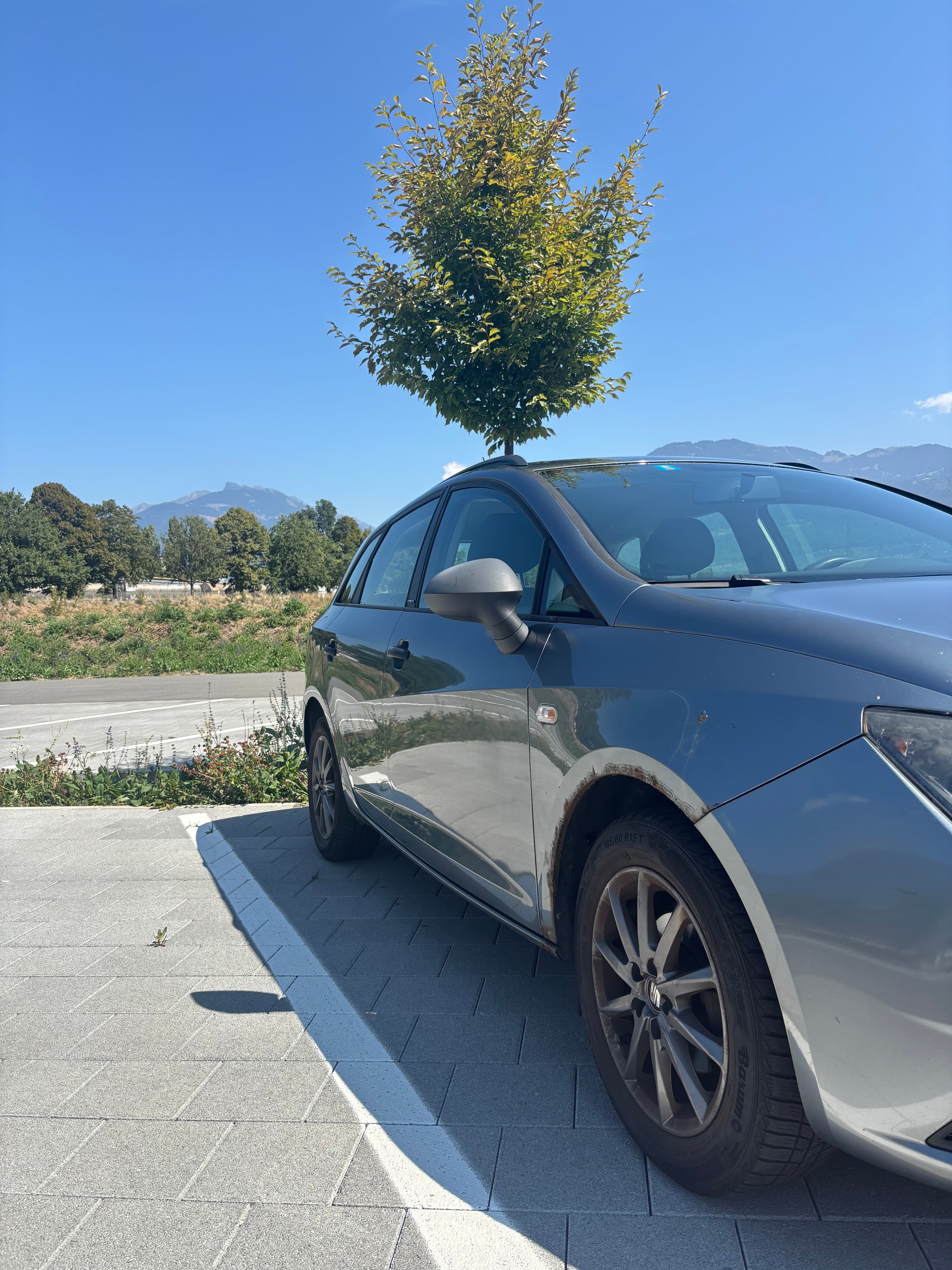 SEAT 1.2 TSI Reference S/S-image-2