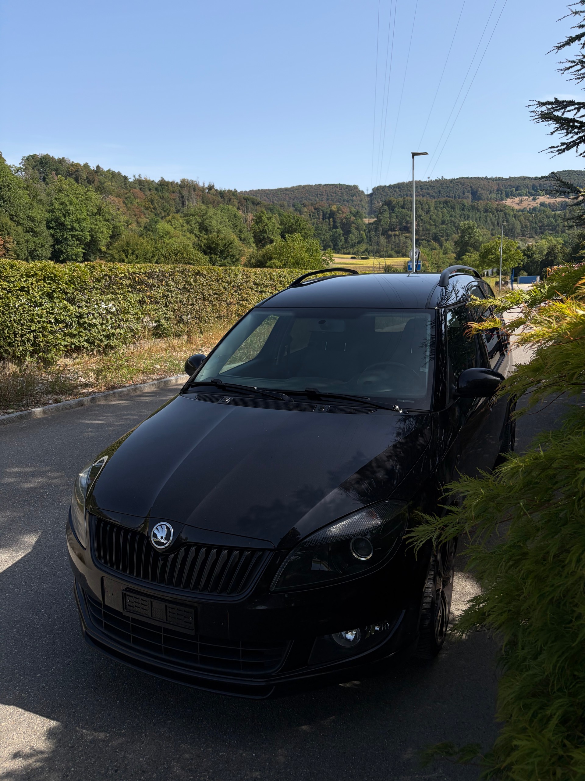 SKODA Roomster 1.6 TDI Elegance-image-4